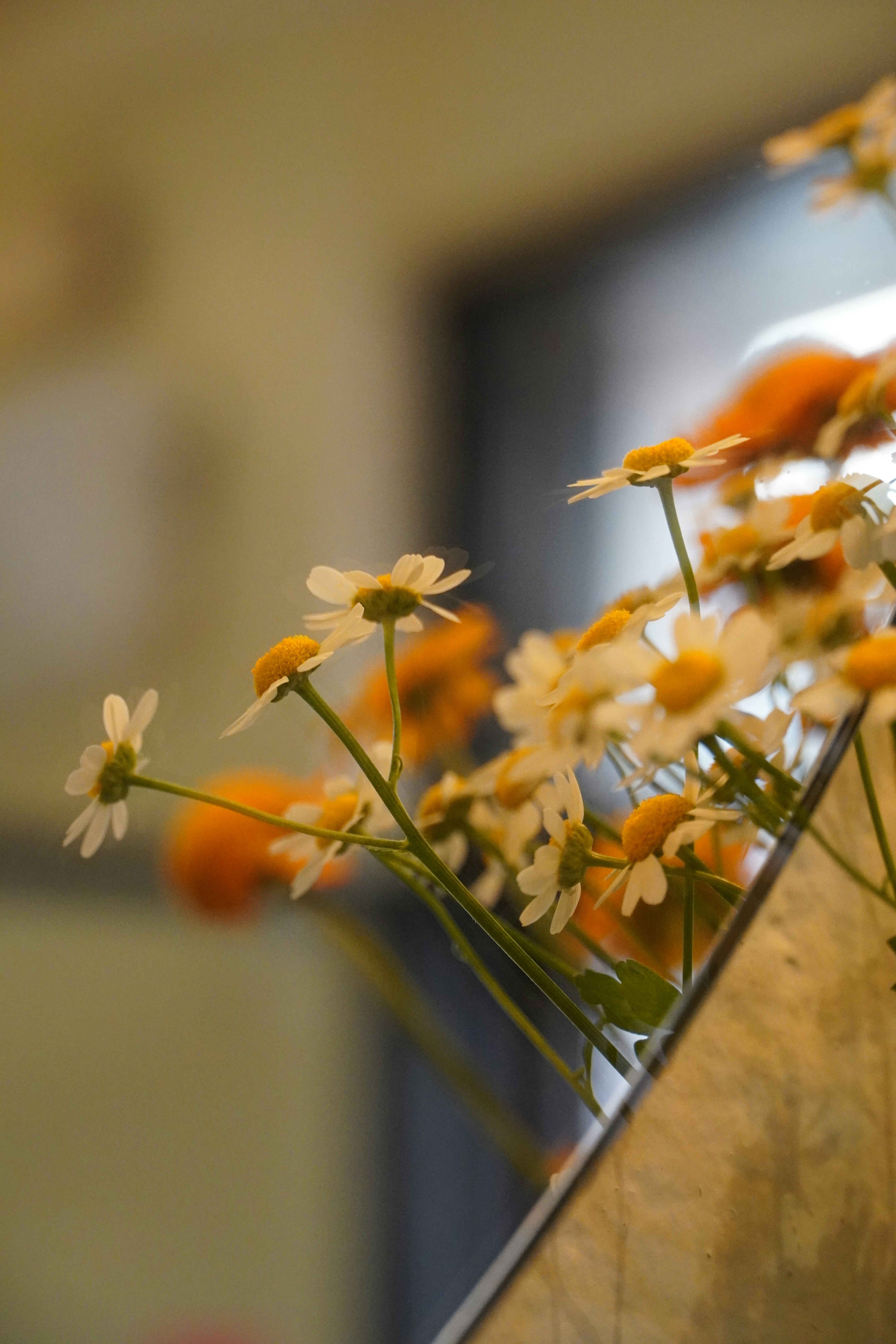 Photo by greenliustudio