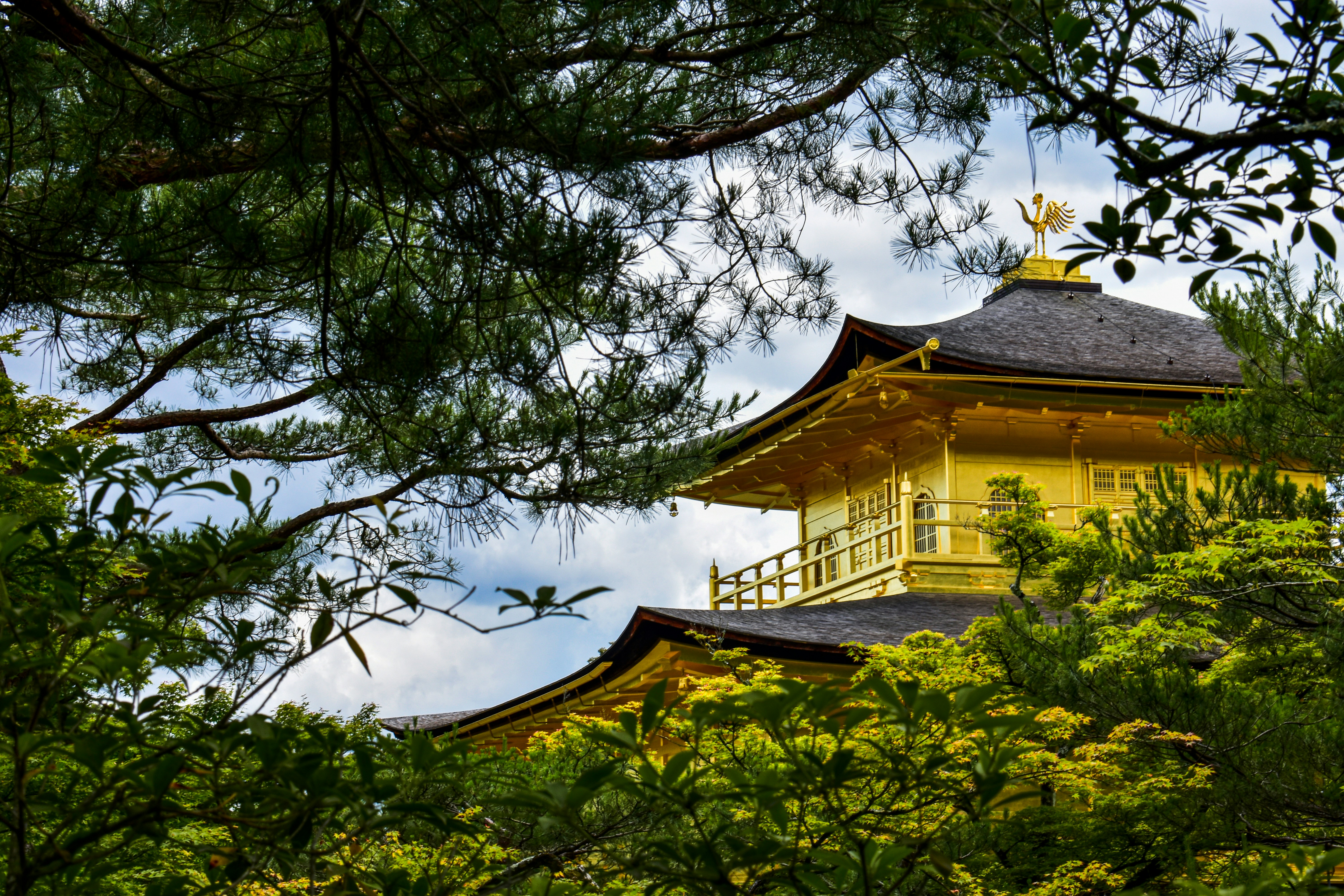 A tall yellow building sitting in the middle of a forest