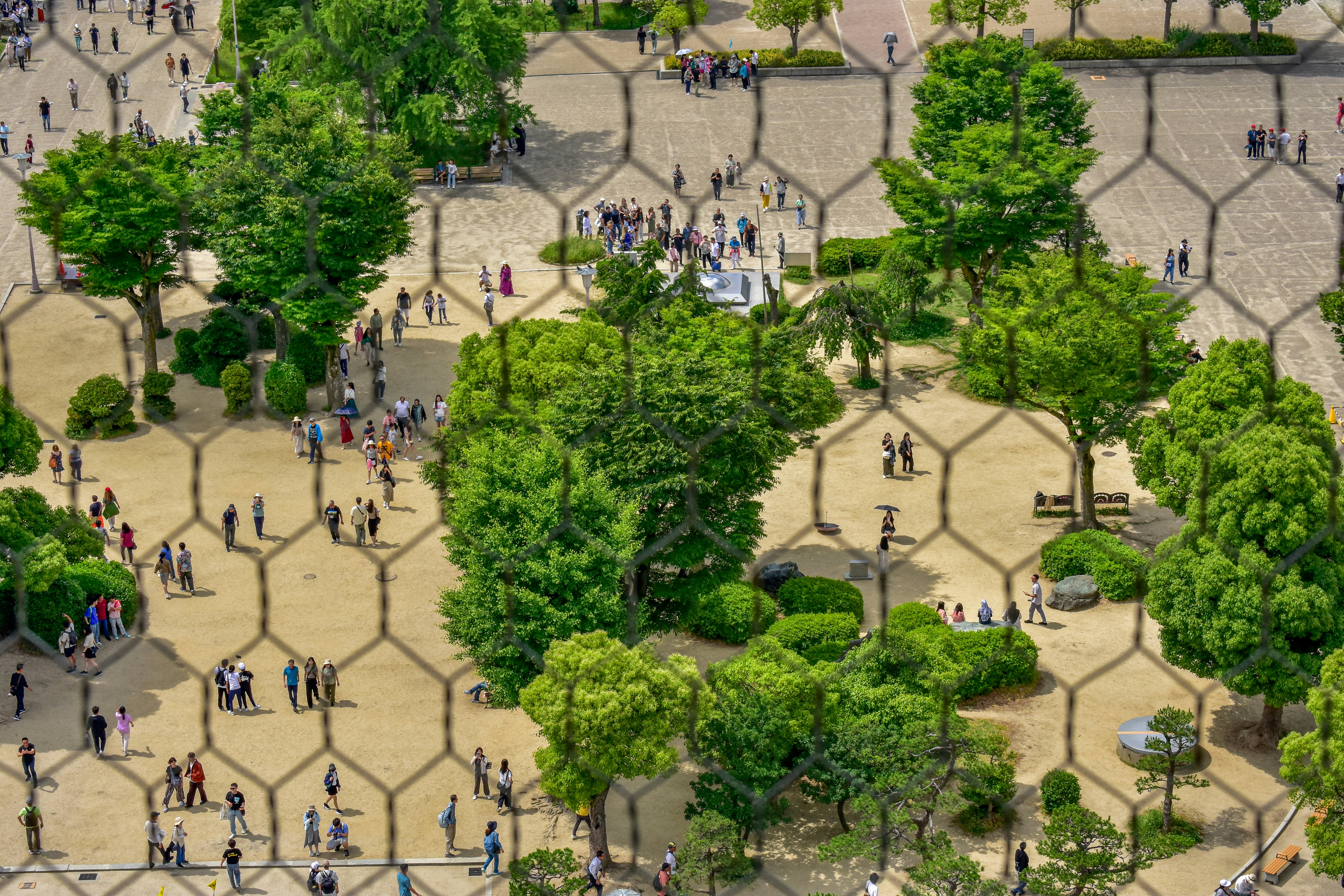 A group of people walking around a park
