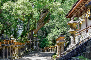 Nara
