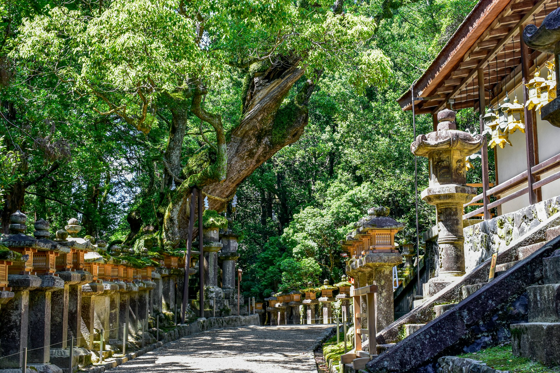 A stone path leading up to a building