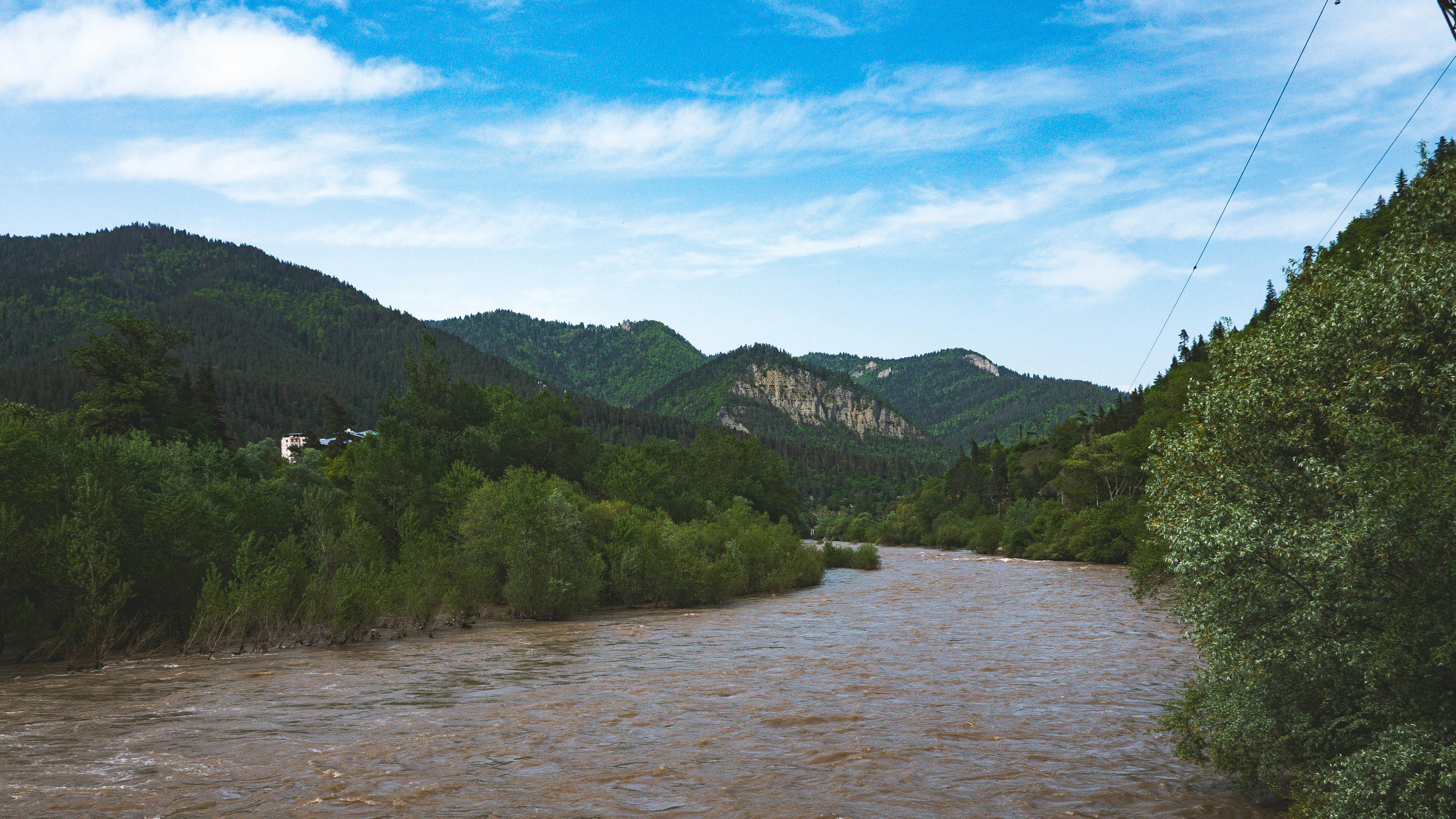A river running through a lush green forest