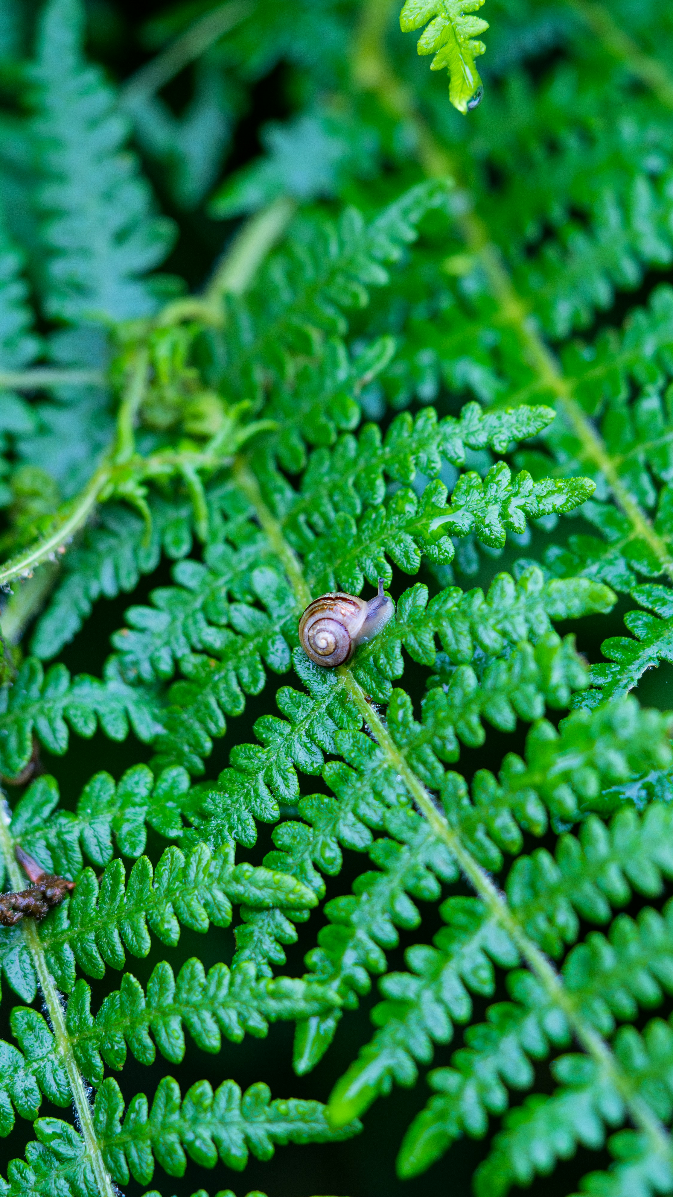 Photo by saidyigitcamlica