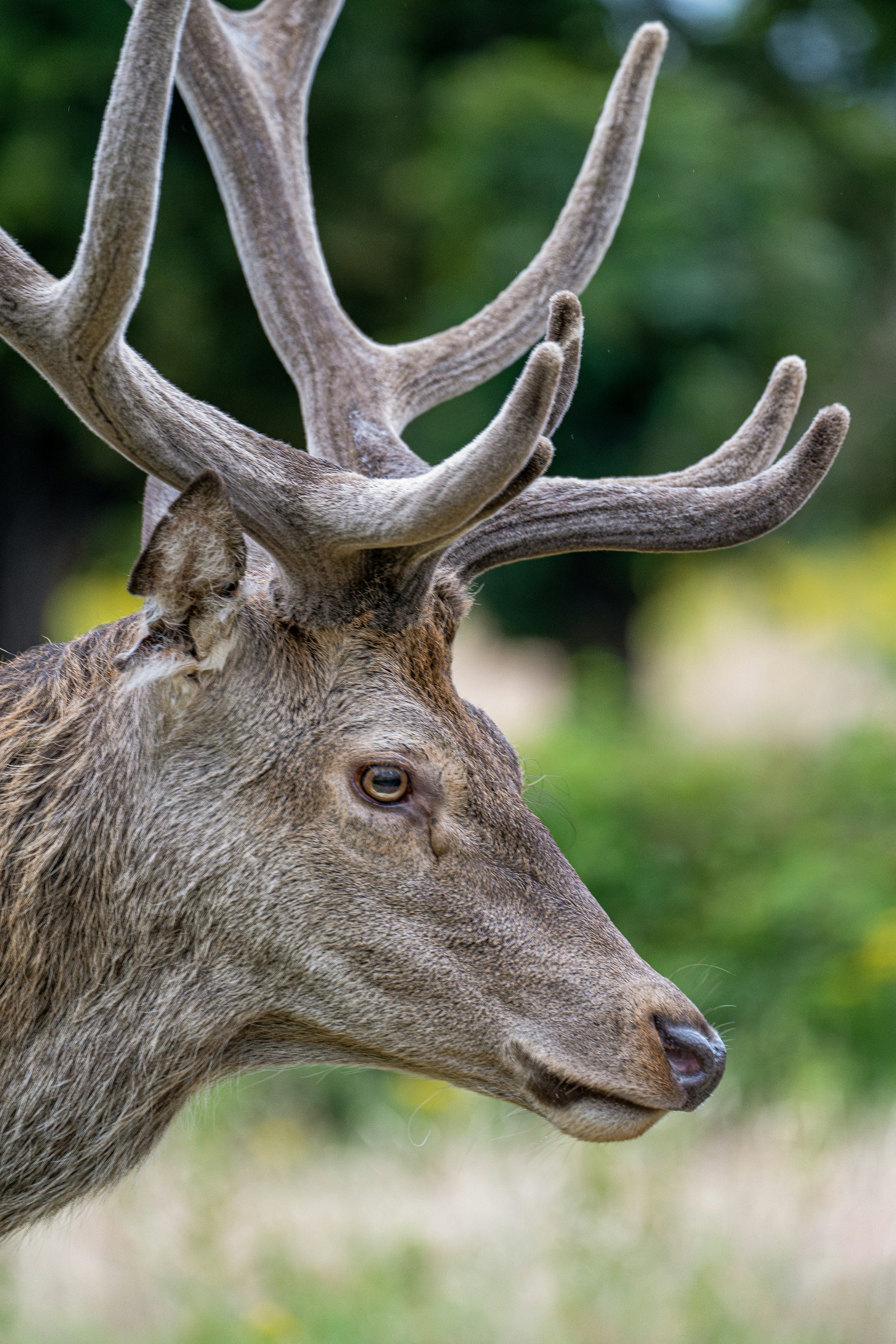 Photo by saidyigitcamlica