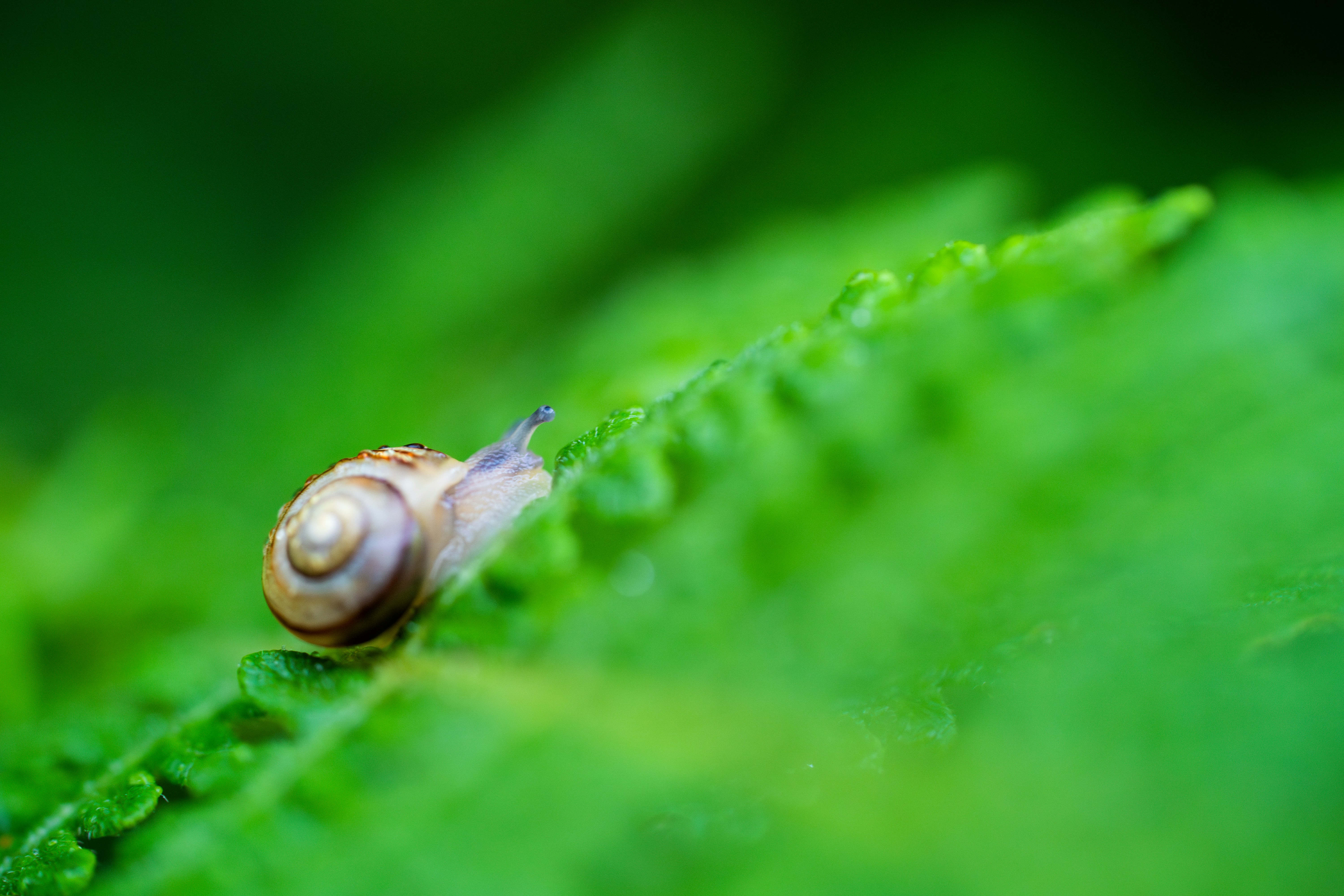 Photo by saidyigitcamlica