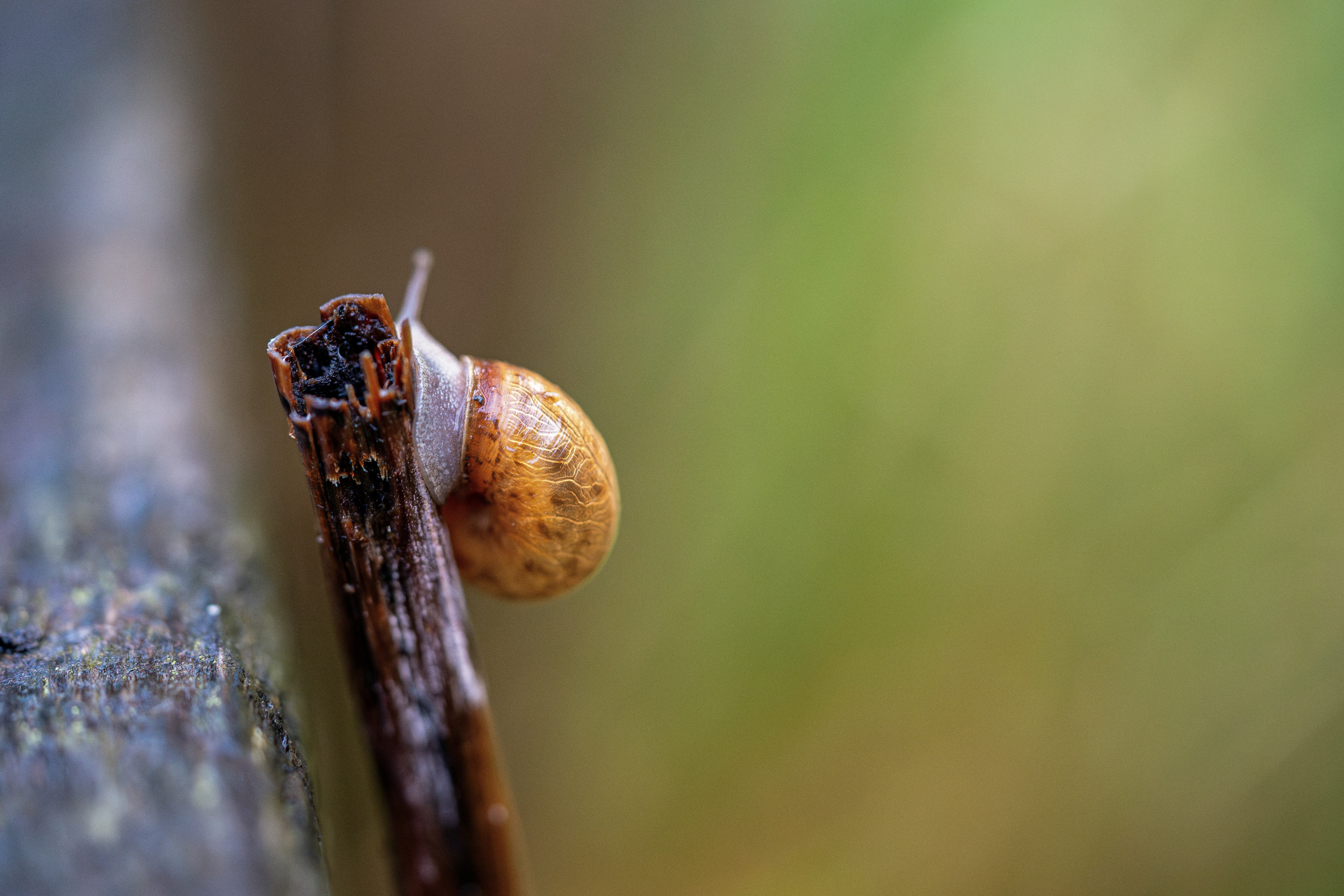 Photo by saidyigitcamlica