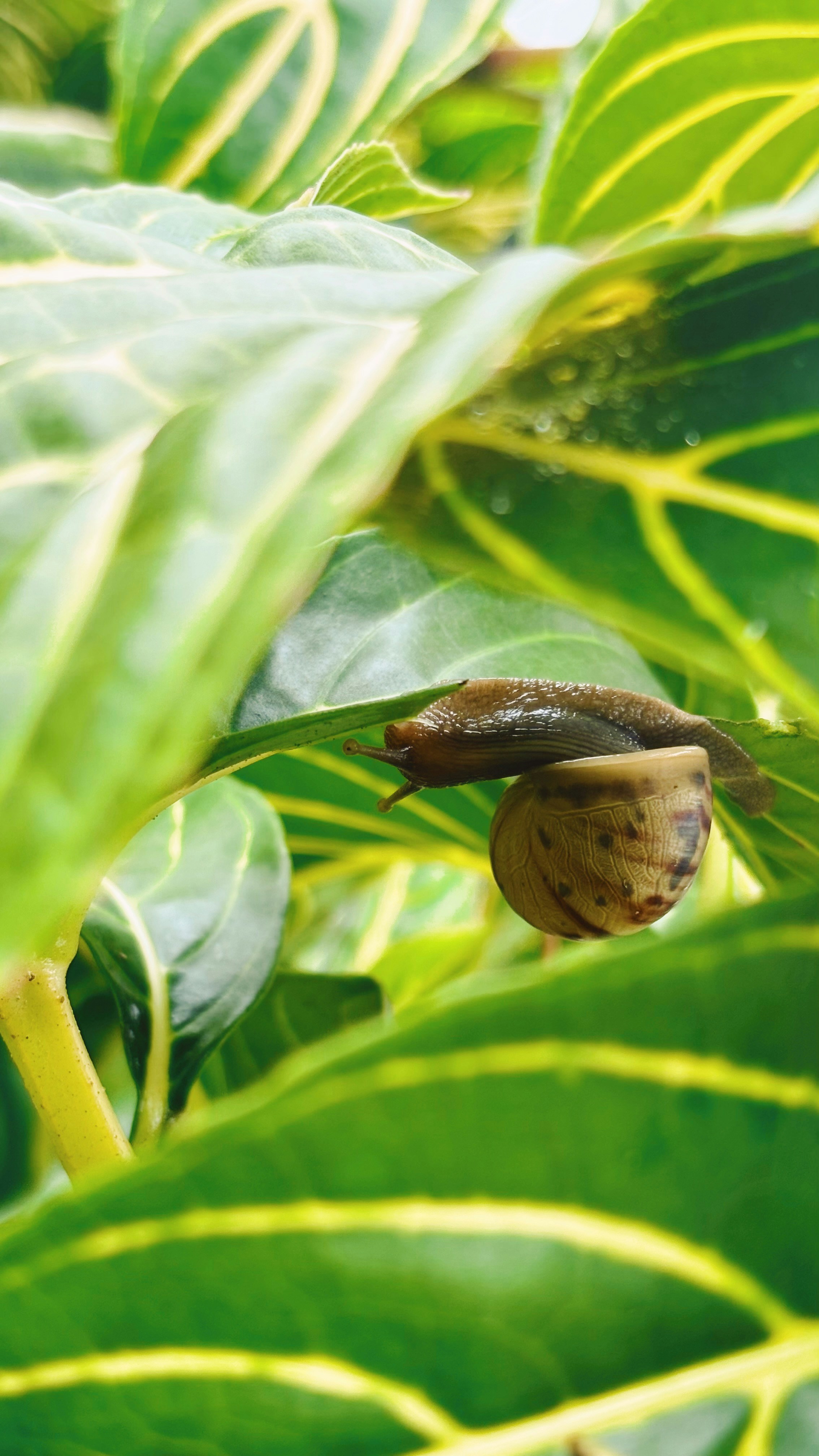 Photo by afhamhmsyri