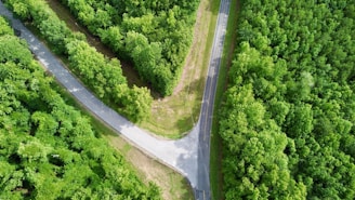 An aerial view of a road in the middle of a forest