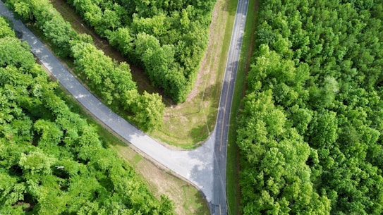 An aerial view of a road in the middle of a forest