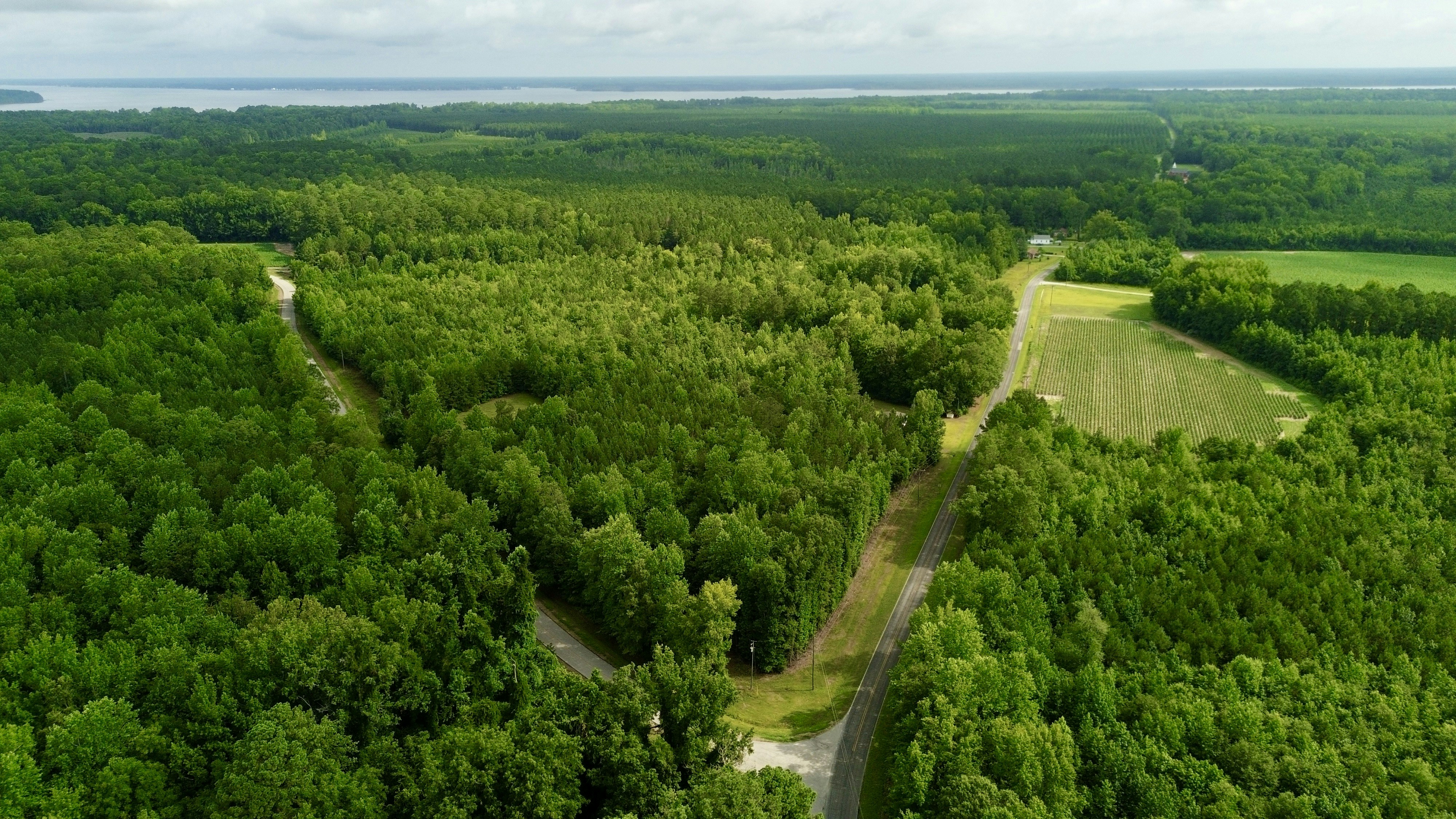 Photo by cody7brandon