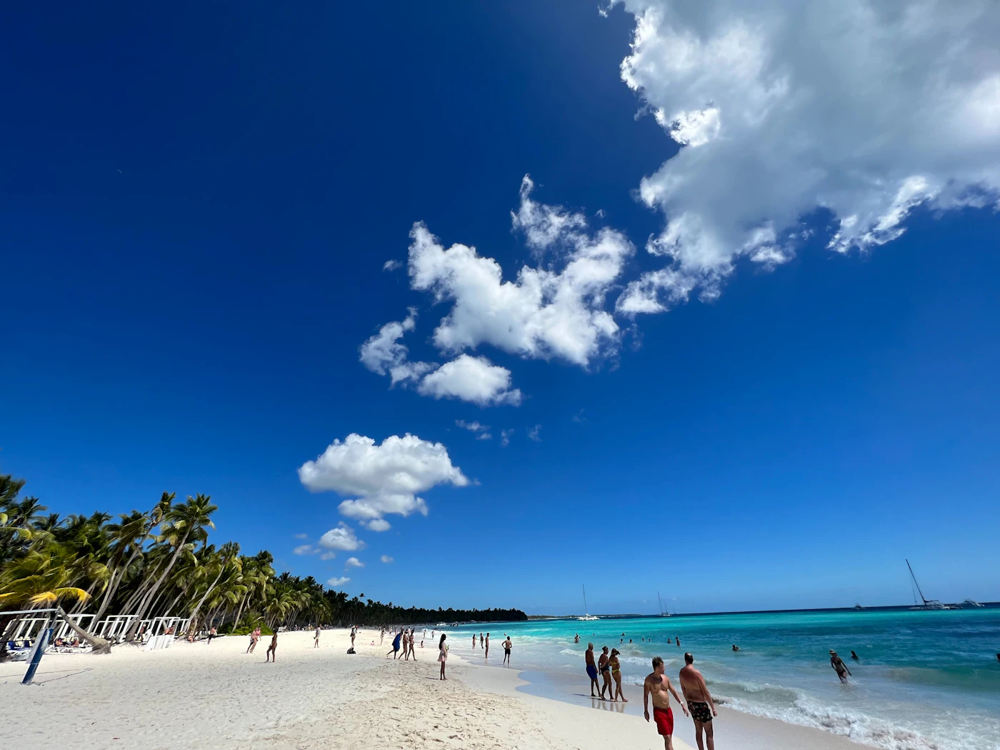 Travelers walking along a sunny palm-lined Caribbean beach