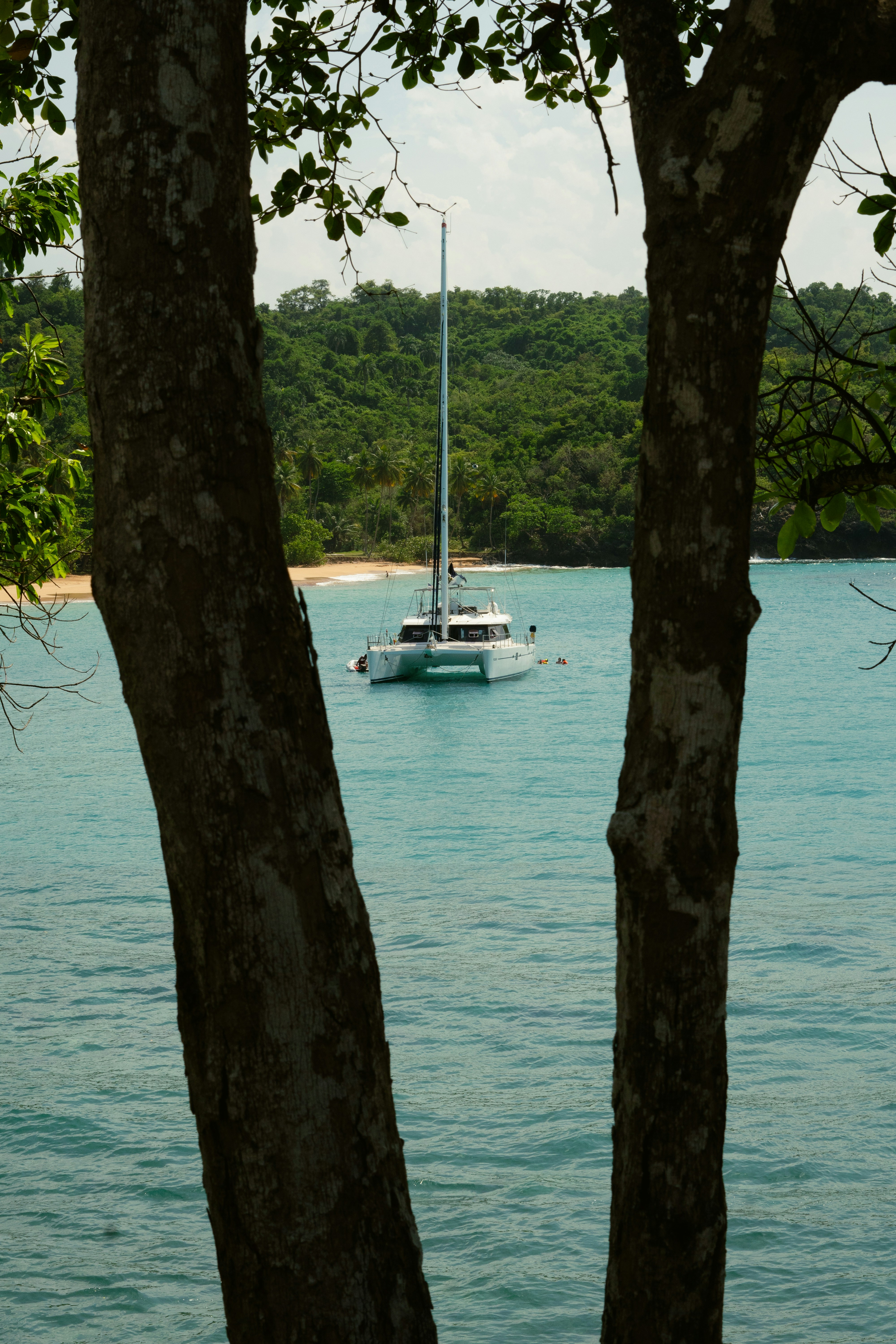 A boat is out on the water near some trees