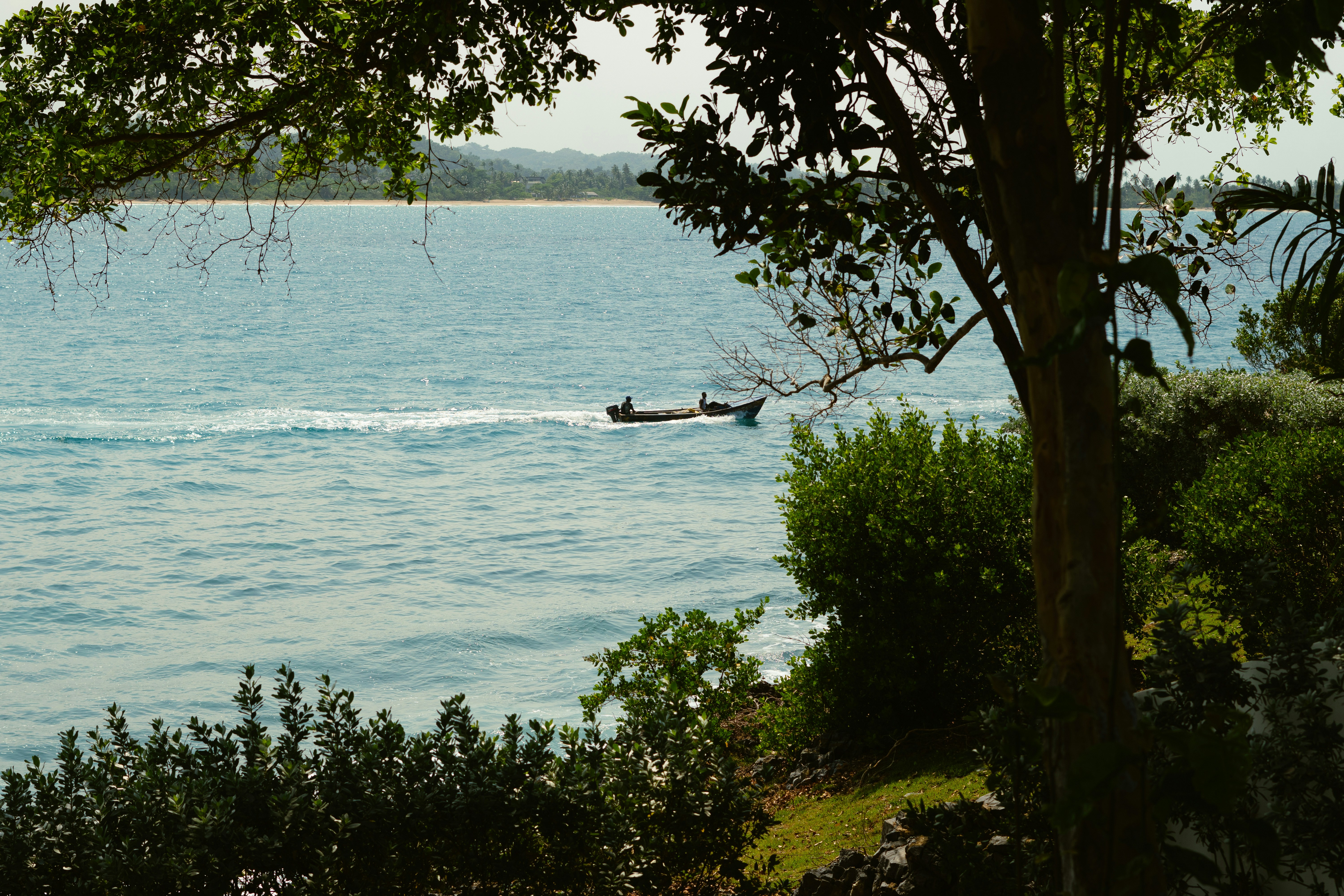 A boat is out on the water near some trees