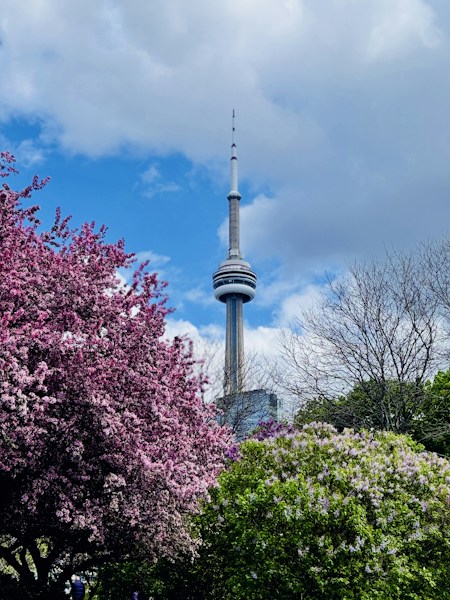 CN Tower: Toronto's Needle in the Sky