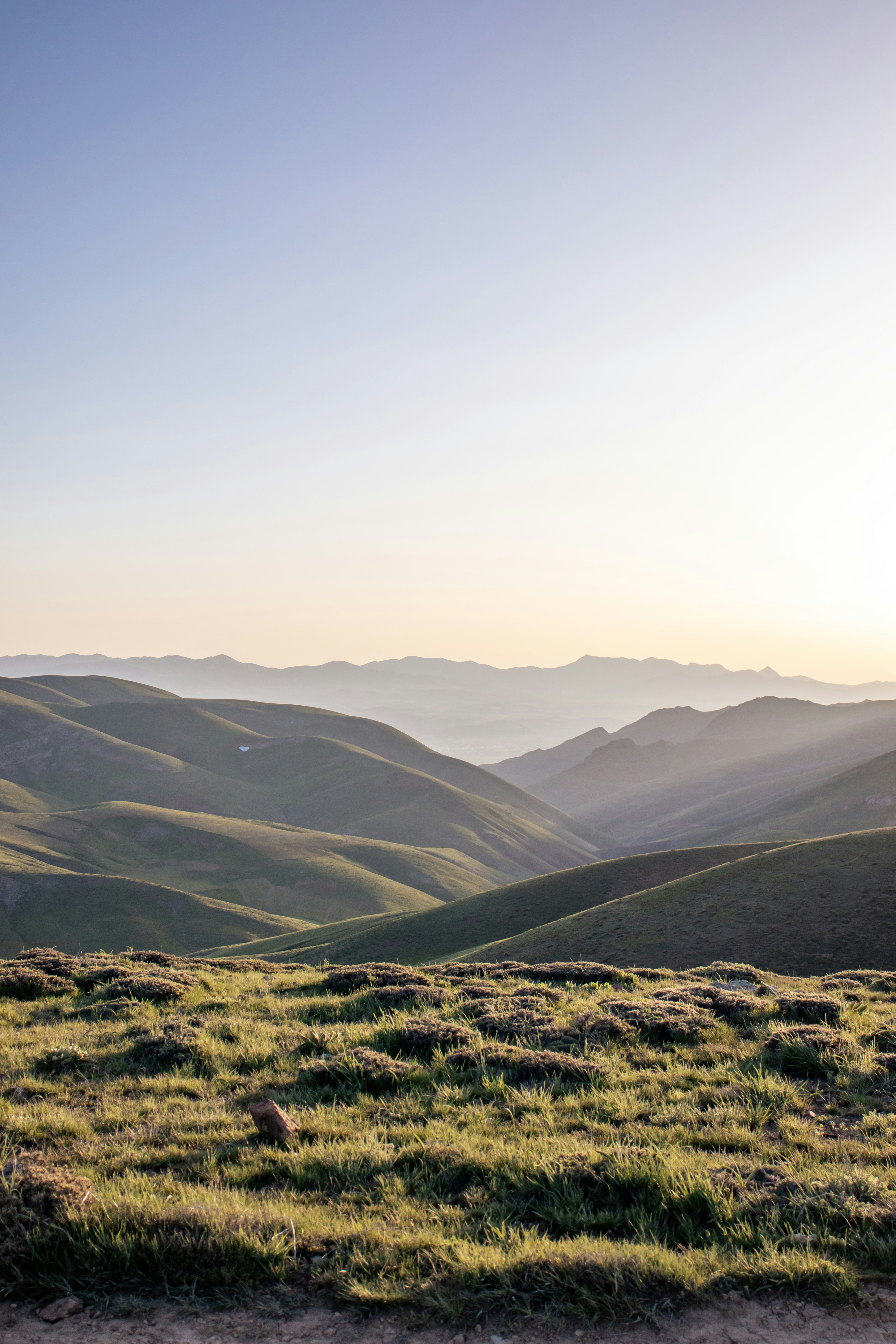 Photo by amirjaalili