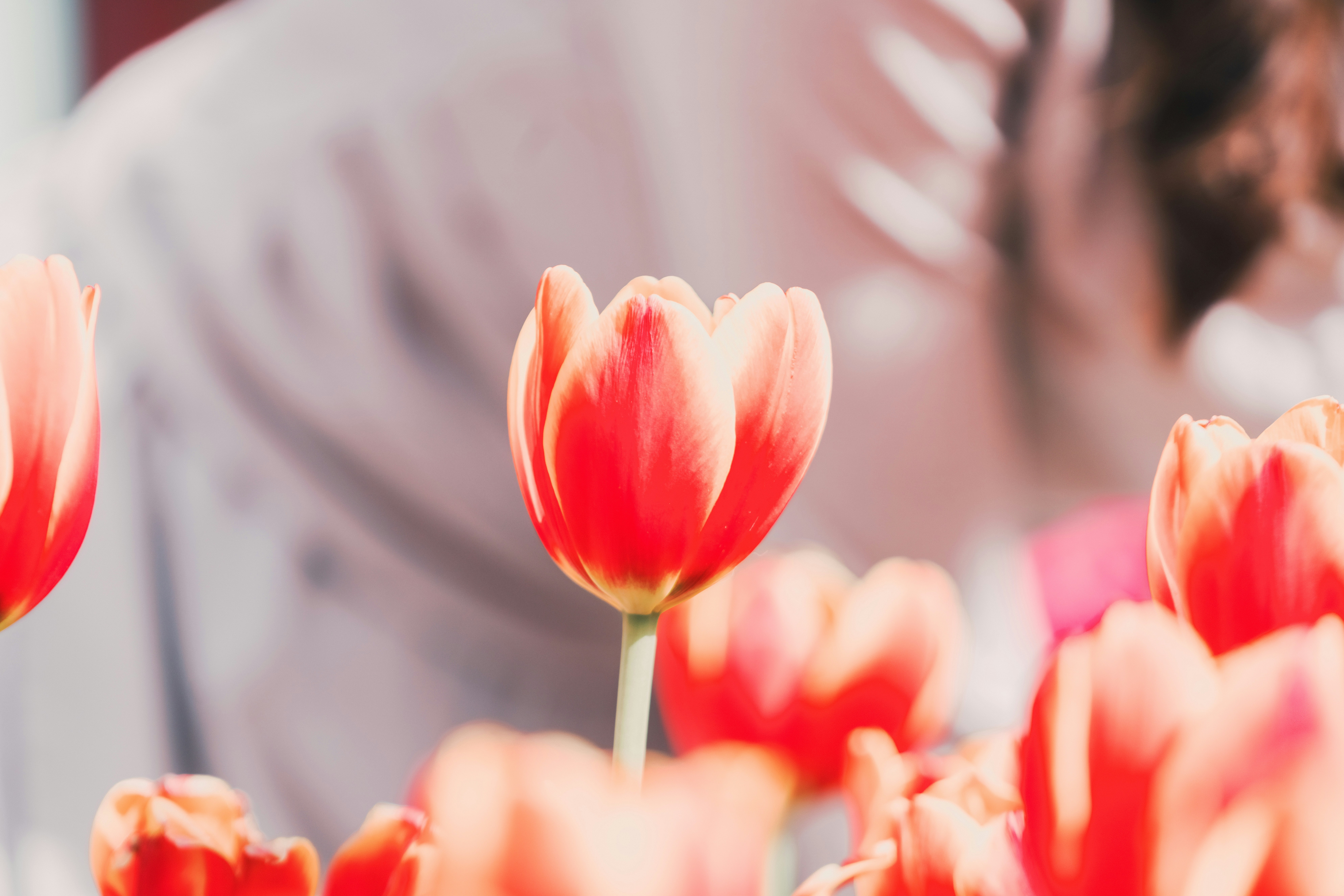 Photo by ooneiroslyl