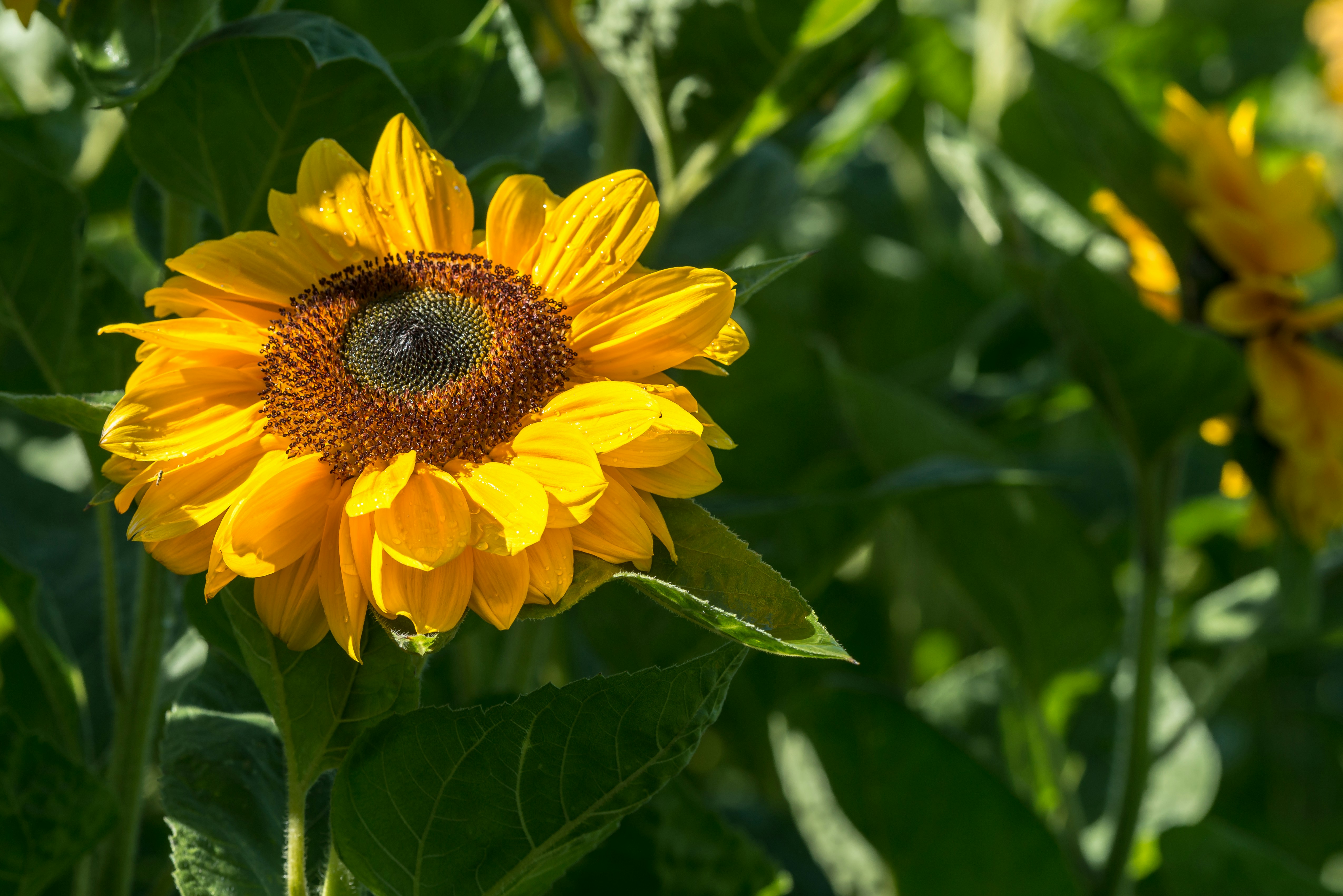 Photo by hamburgmeinefreundin