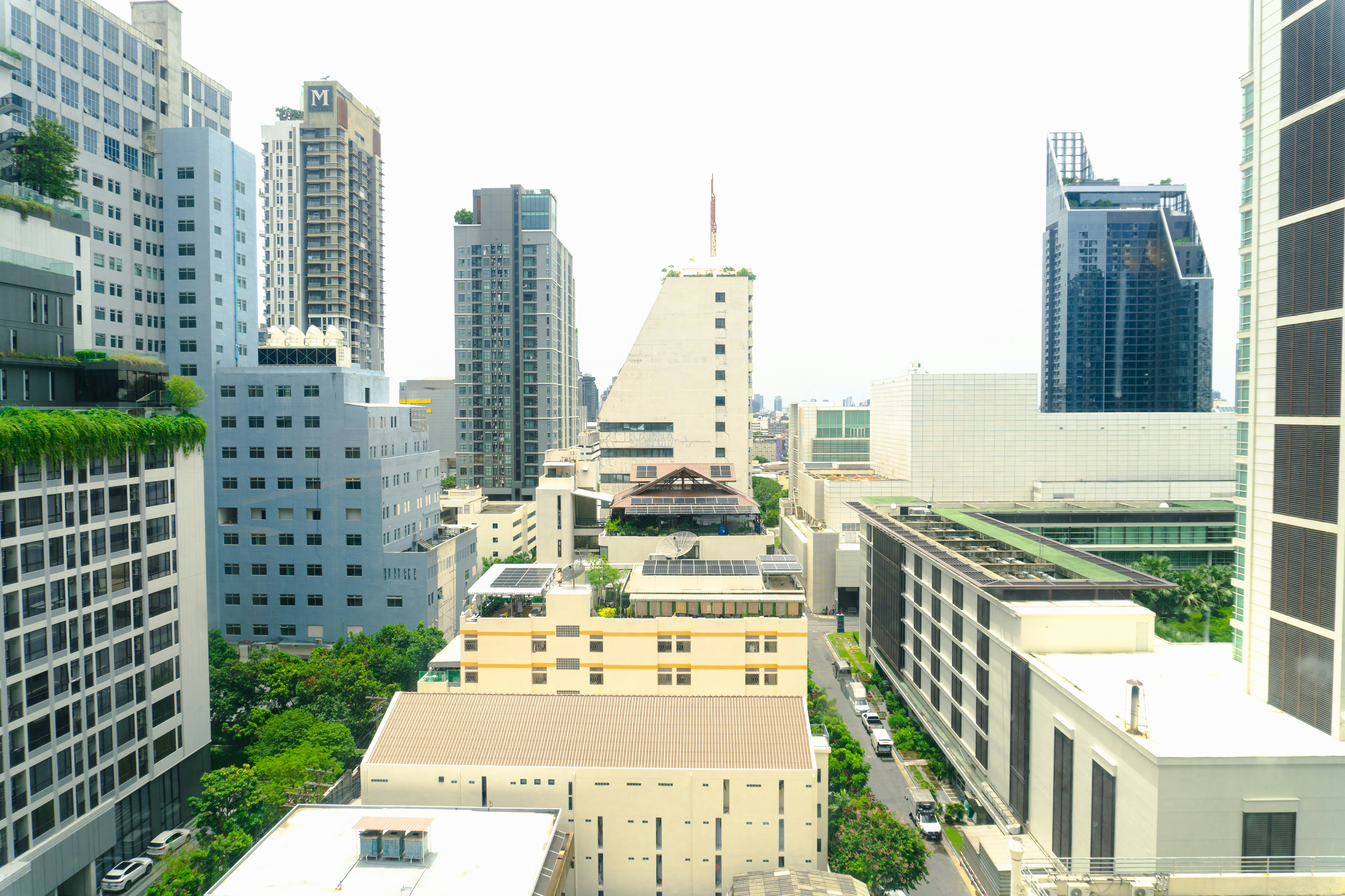 Photo by maivophucthanh