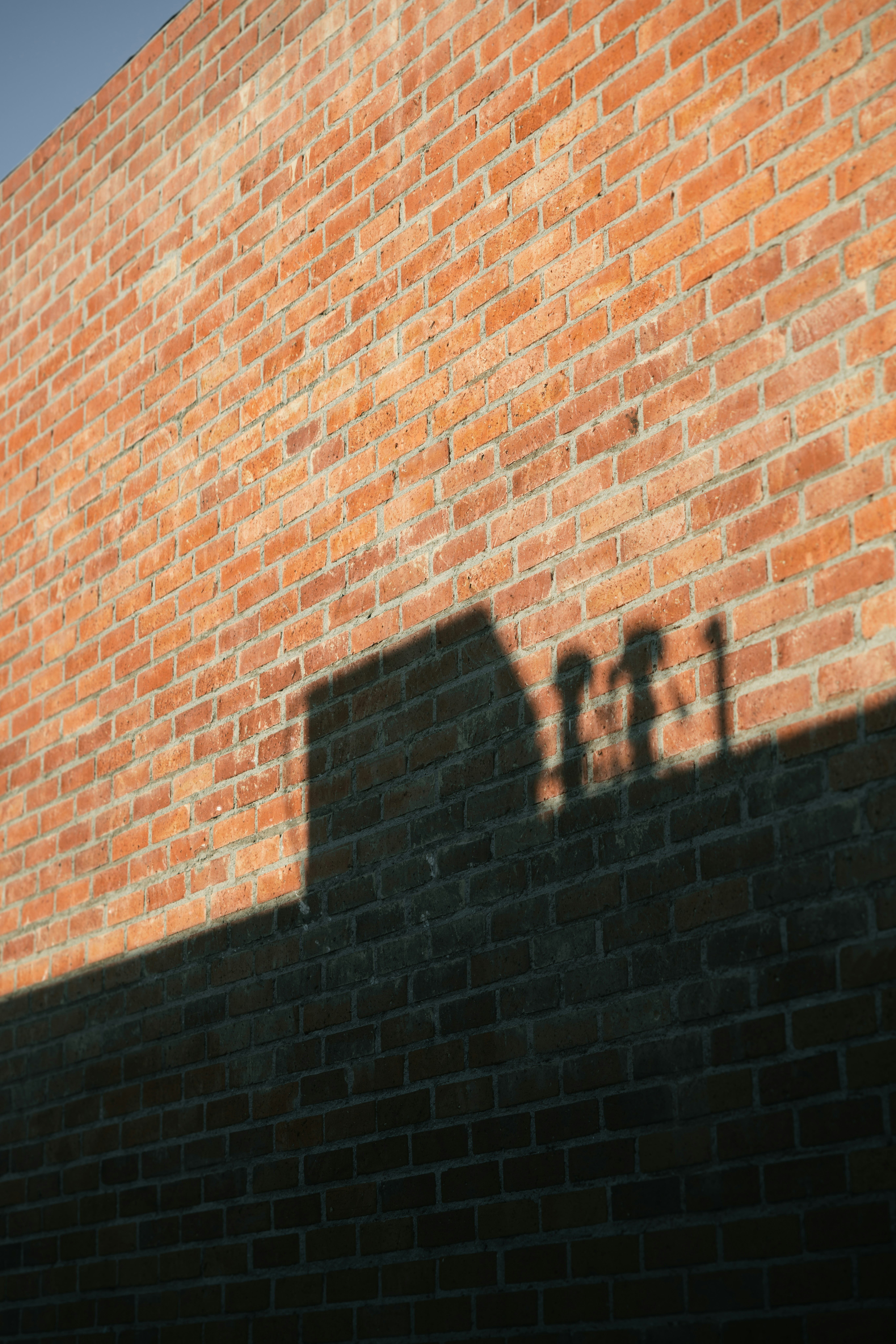 A shadow of a person on a brick wall