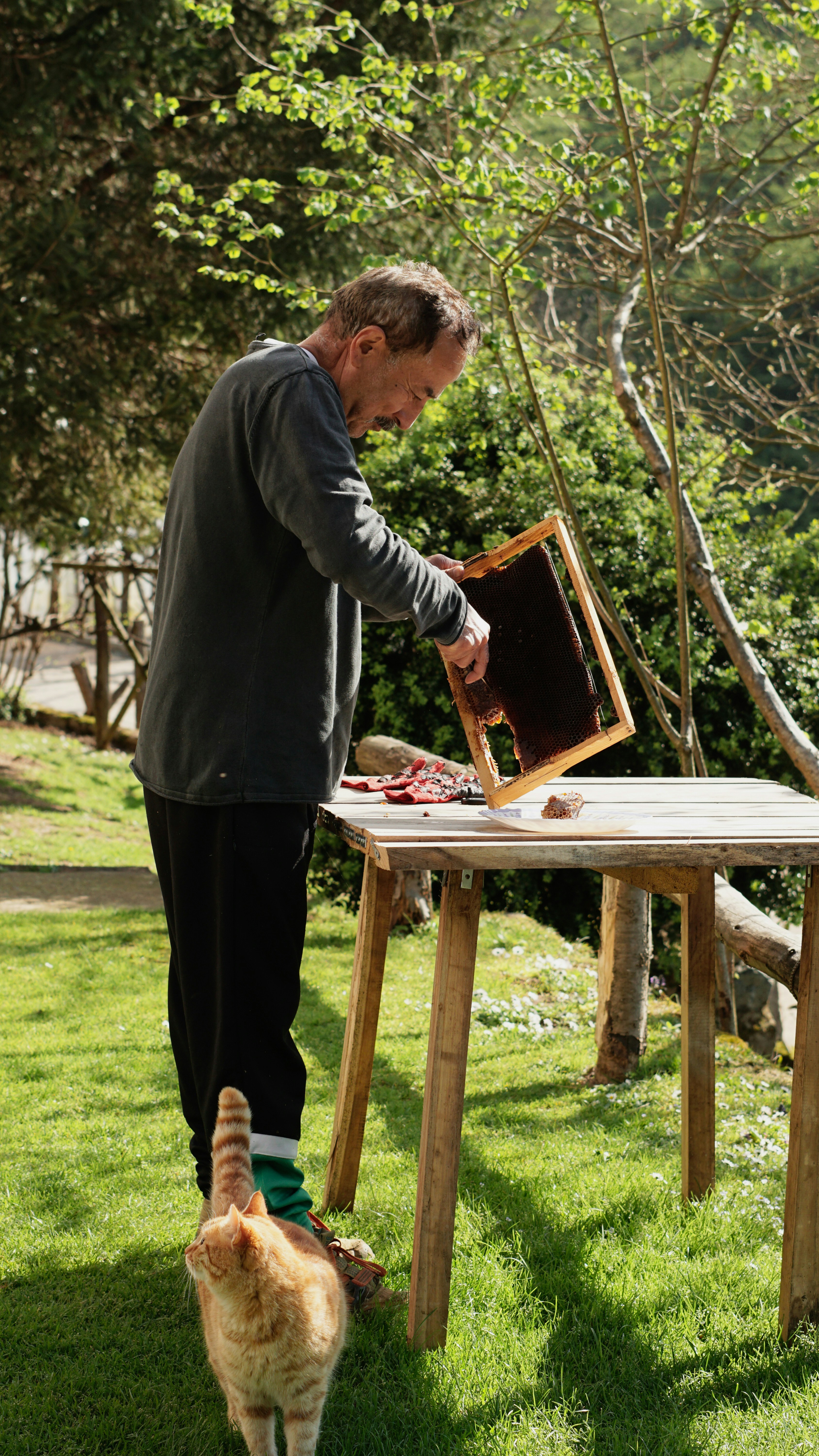 New sugar glider owner preparing sugar glider setup at home