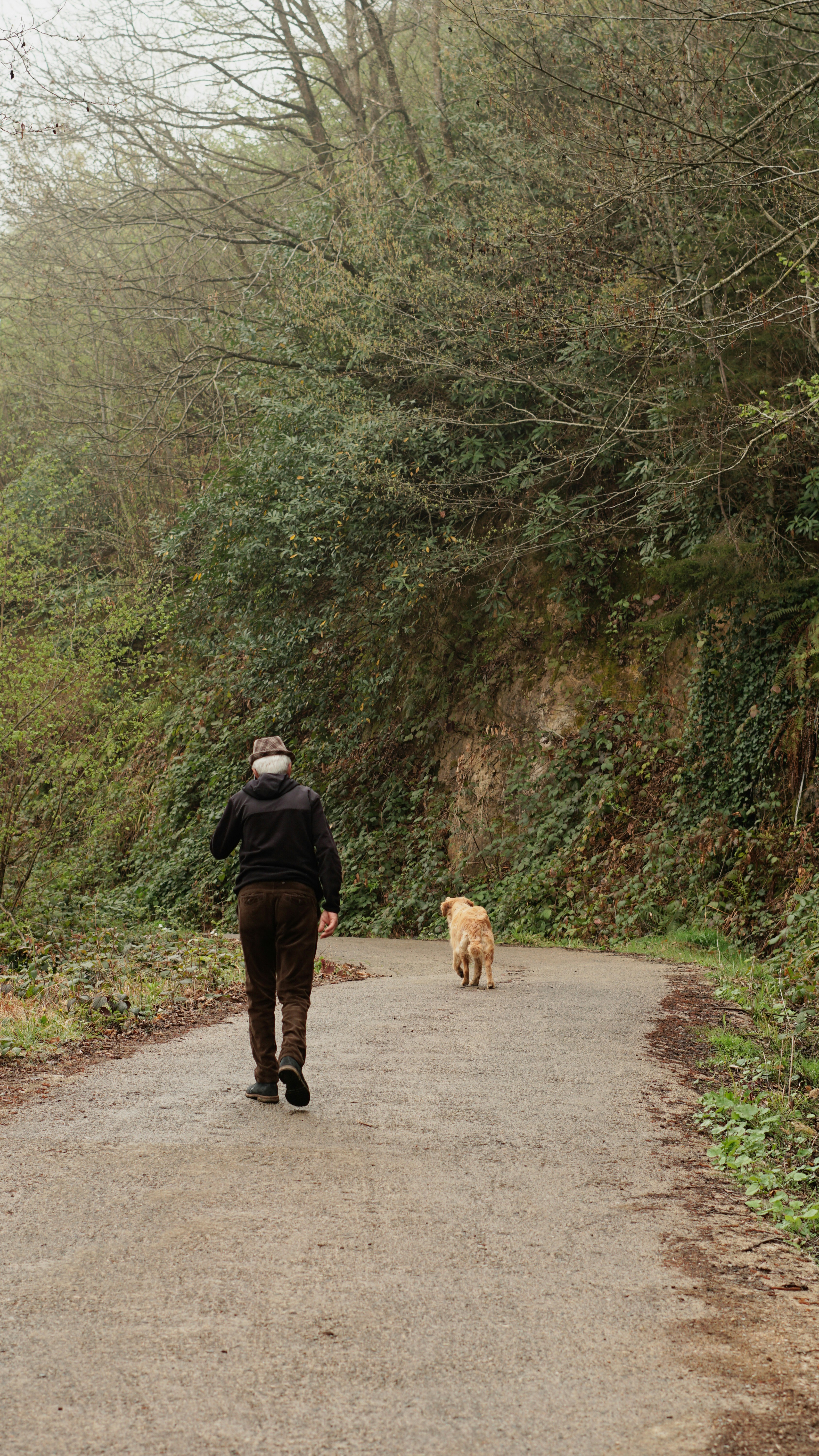 A person walking a dog down a dirt road