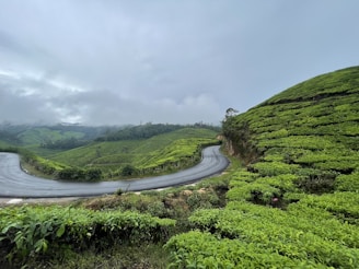 A curved road in the middle of a lush green hillside