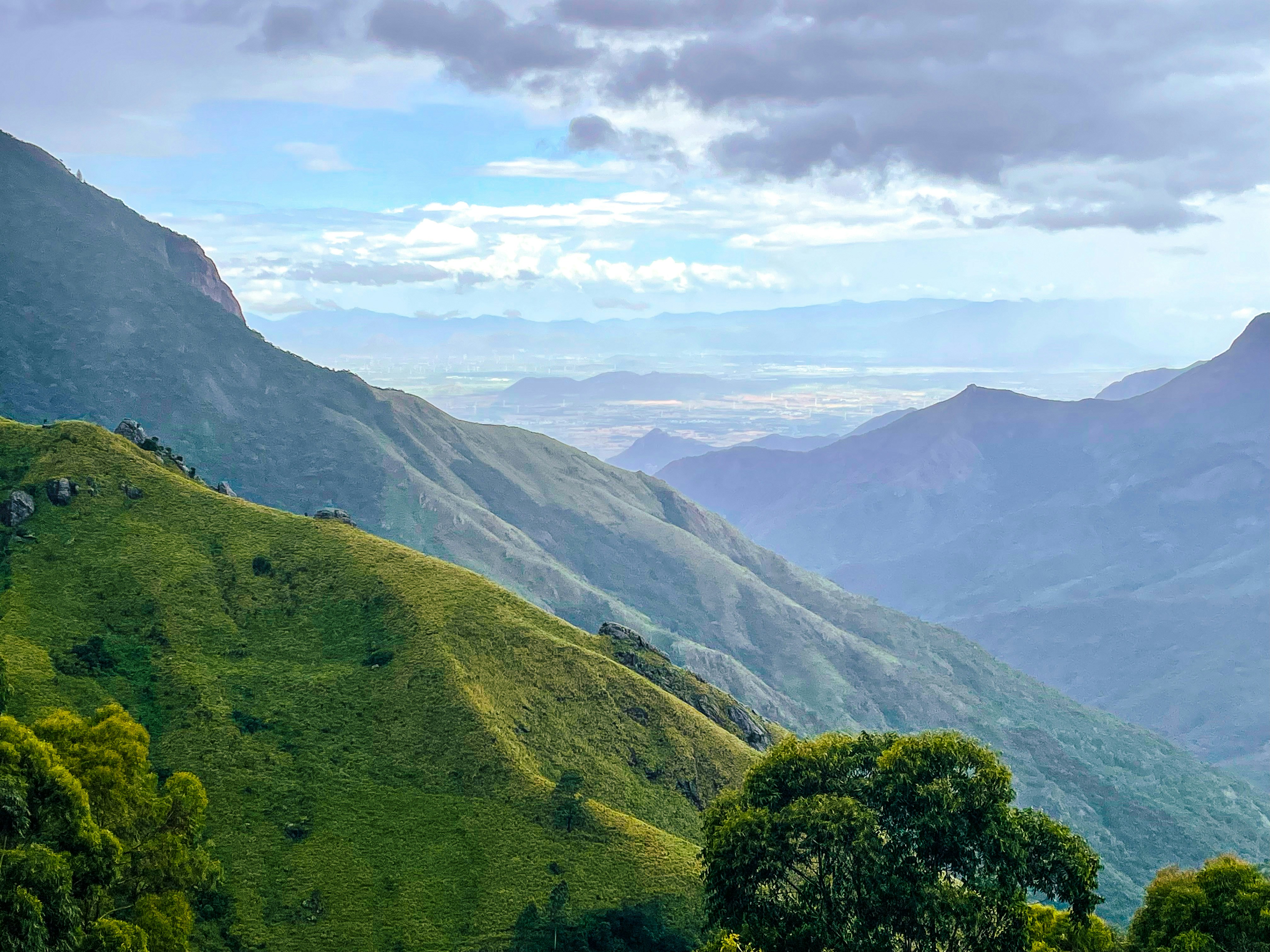 A lush green hillside covered in lush green trees
