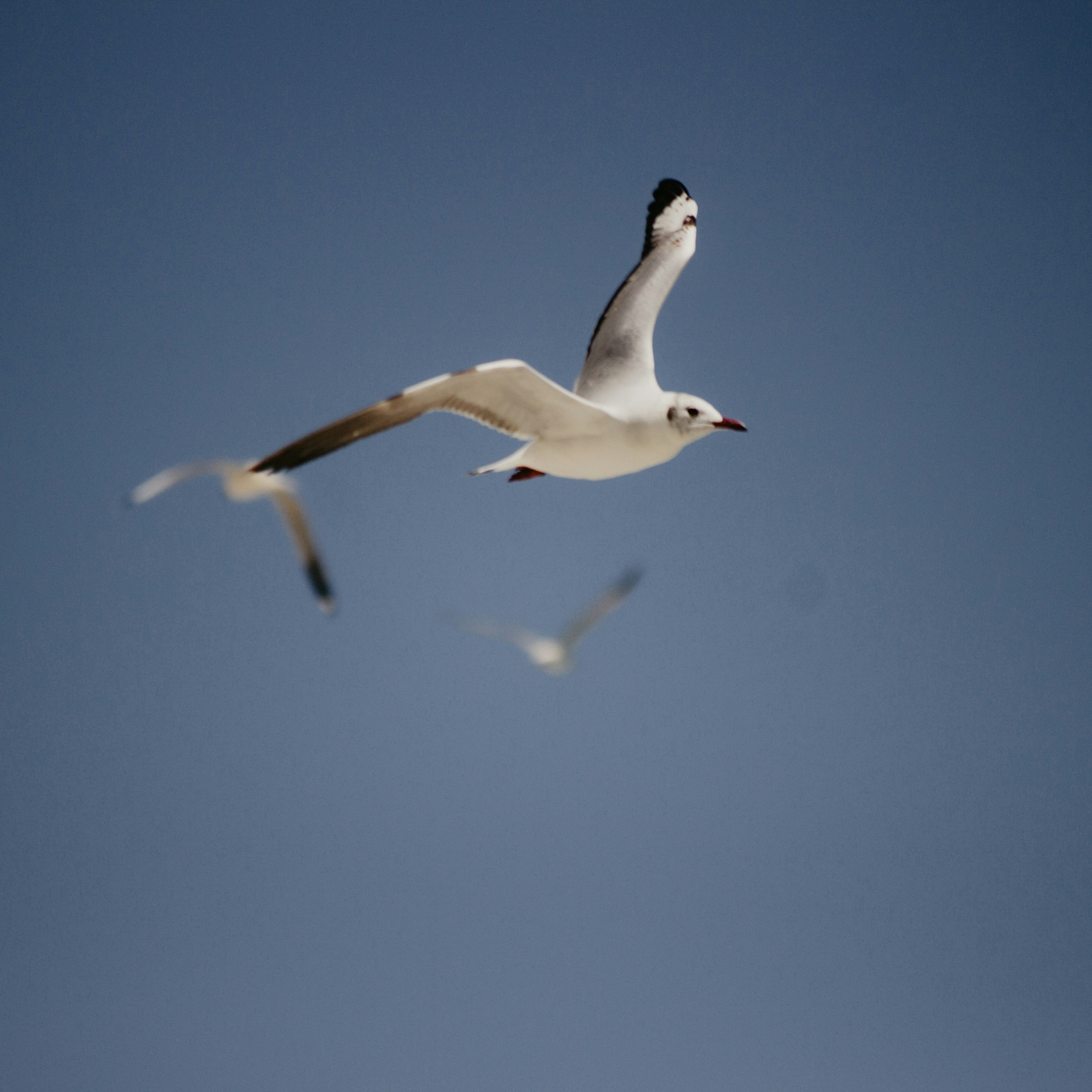 Photo by milindbedwa