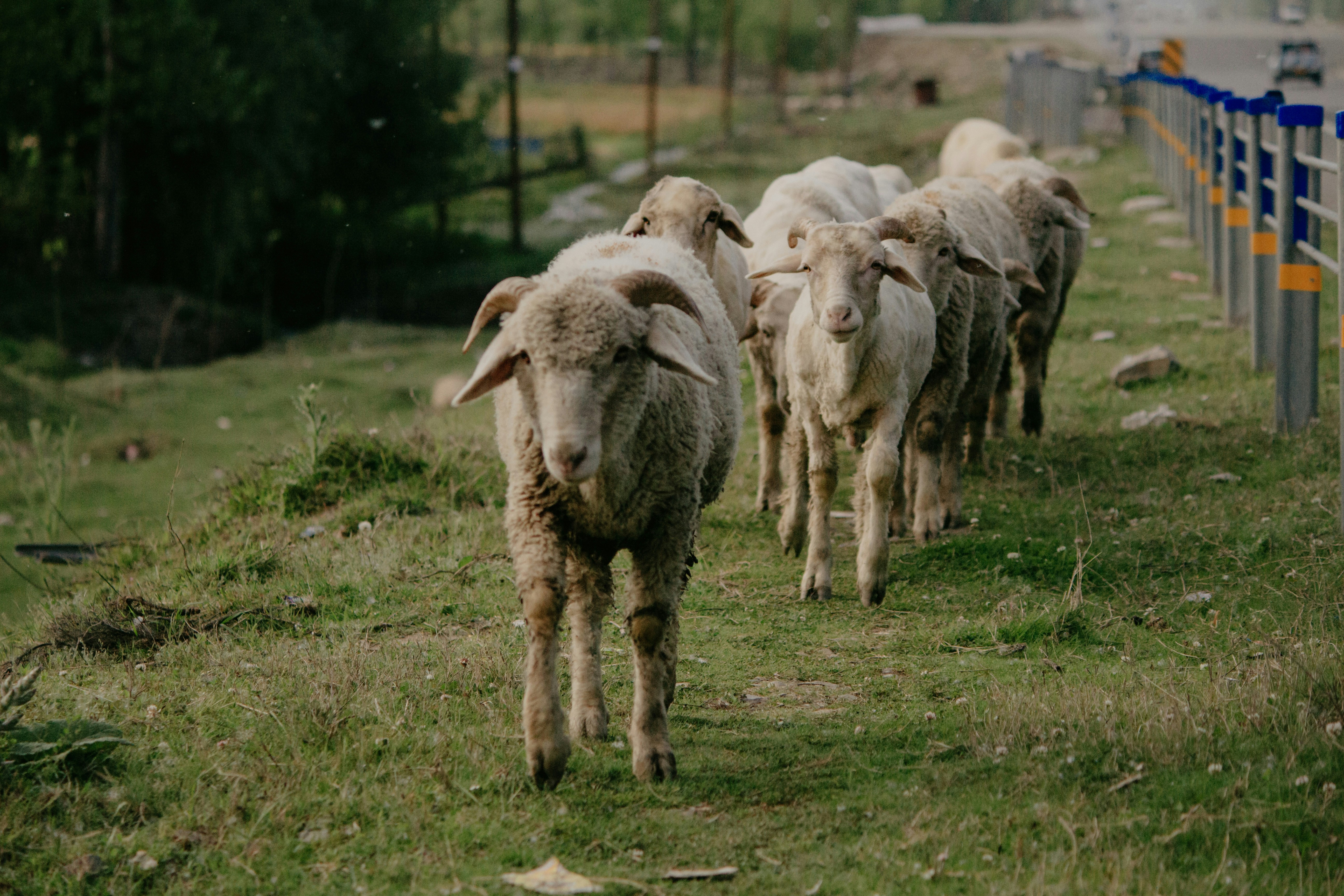 Photo by milindbedwa