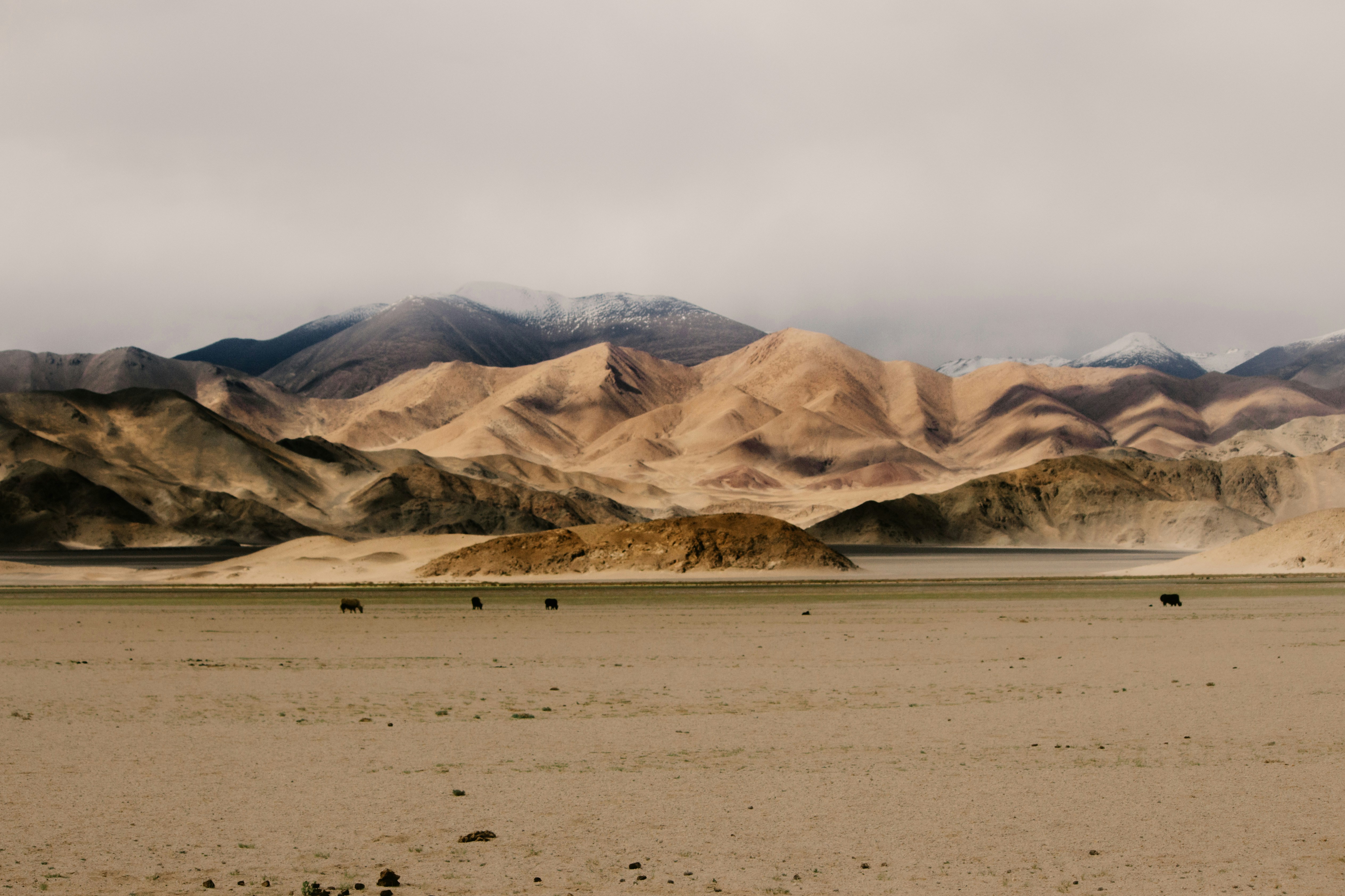 Photo by milindbedwa