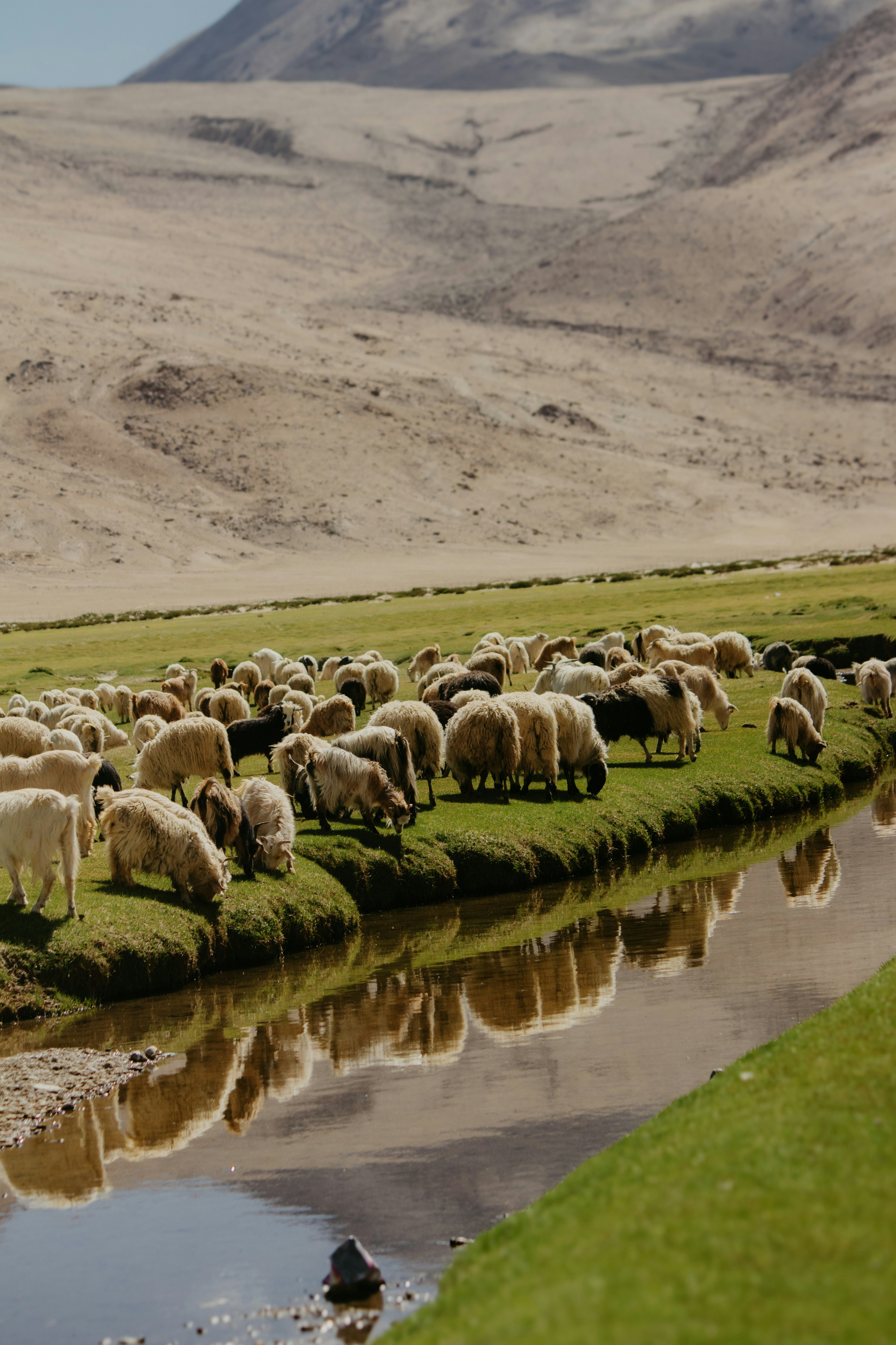 Photo by milindbedwa