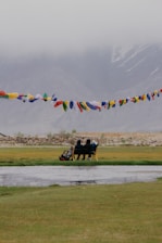 A group of people flying kites over a river