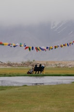 A group of people flying kites over a river