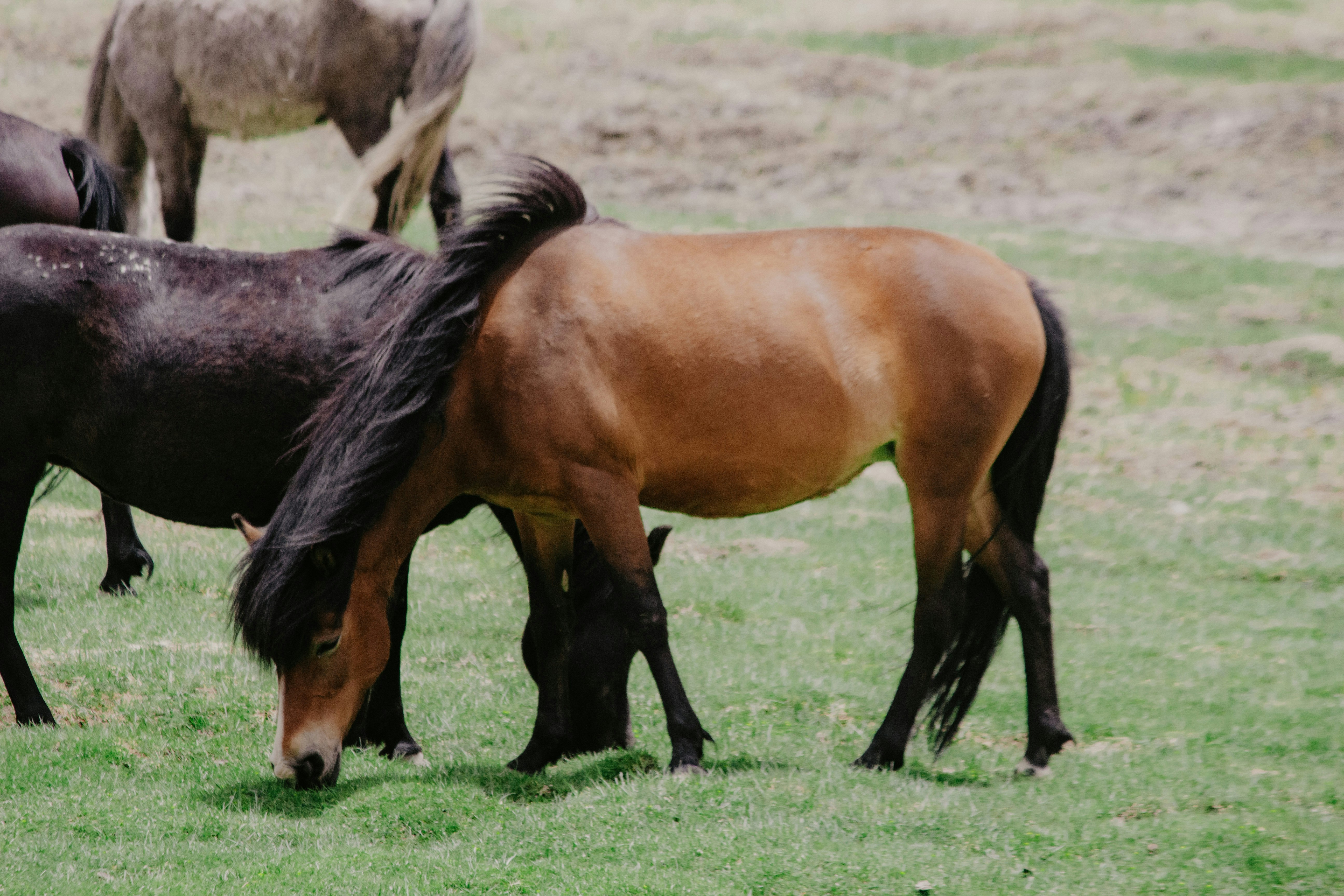 Photo by milindbedwa