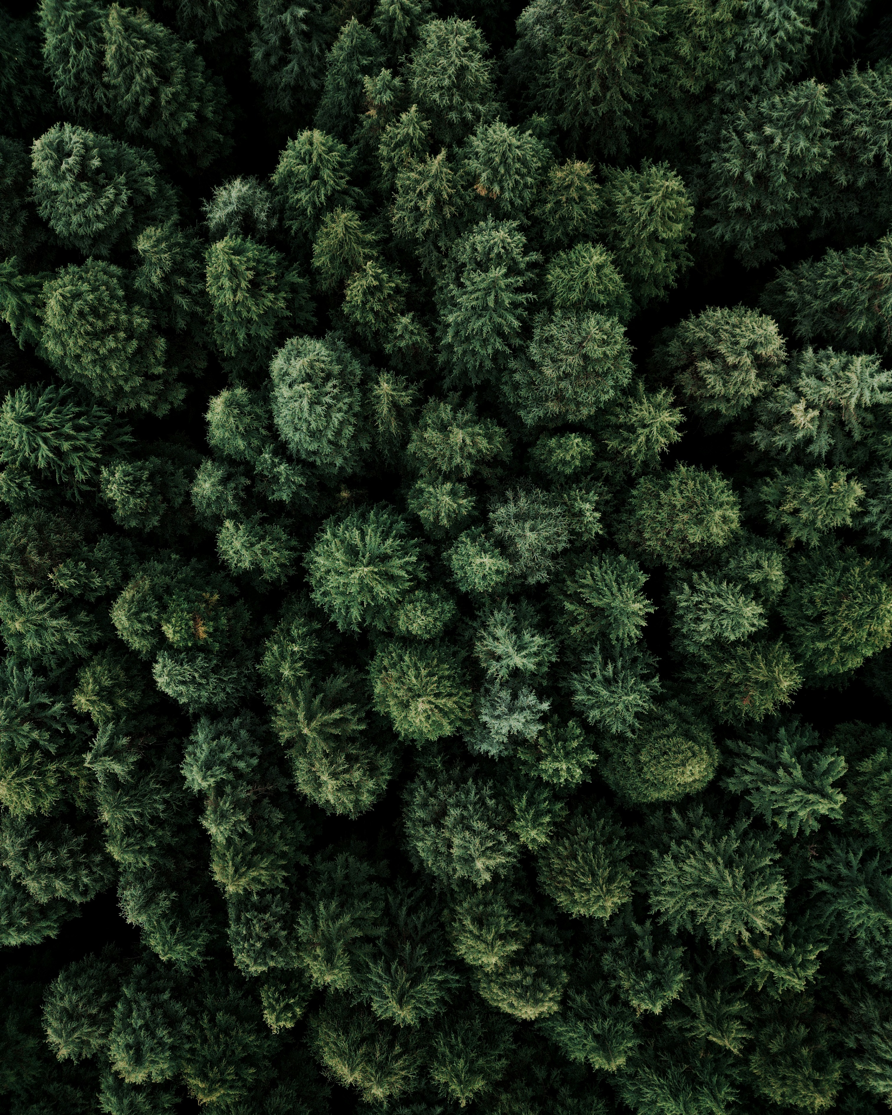 Photo by milindbedwa