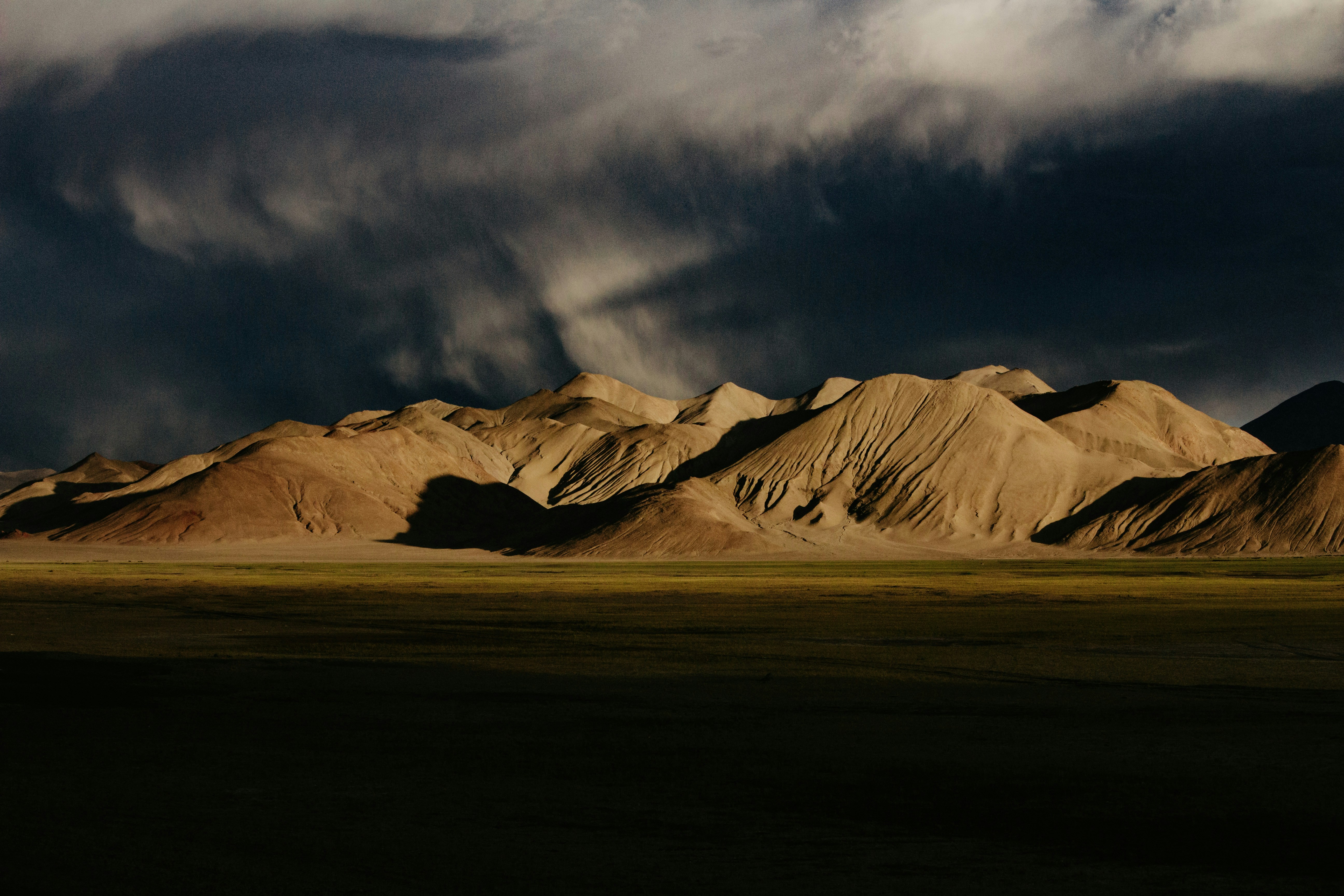 AI monitoring system