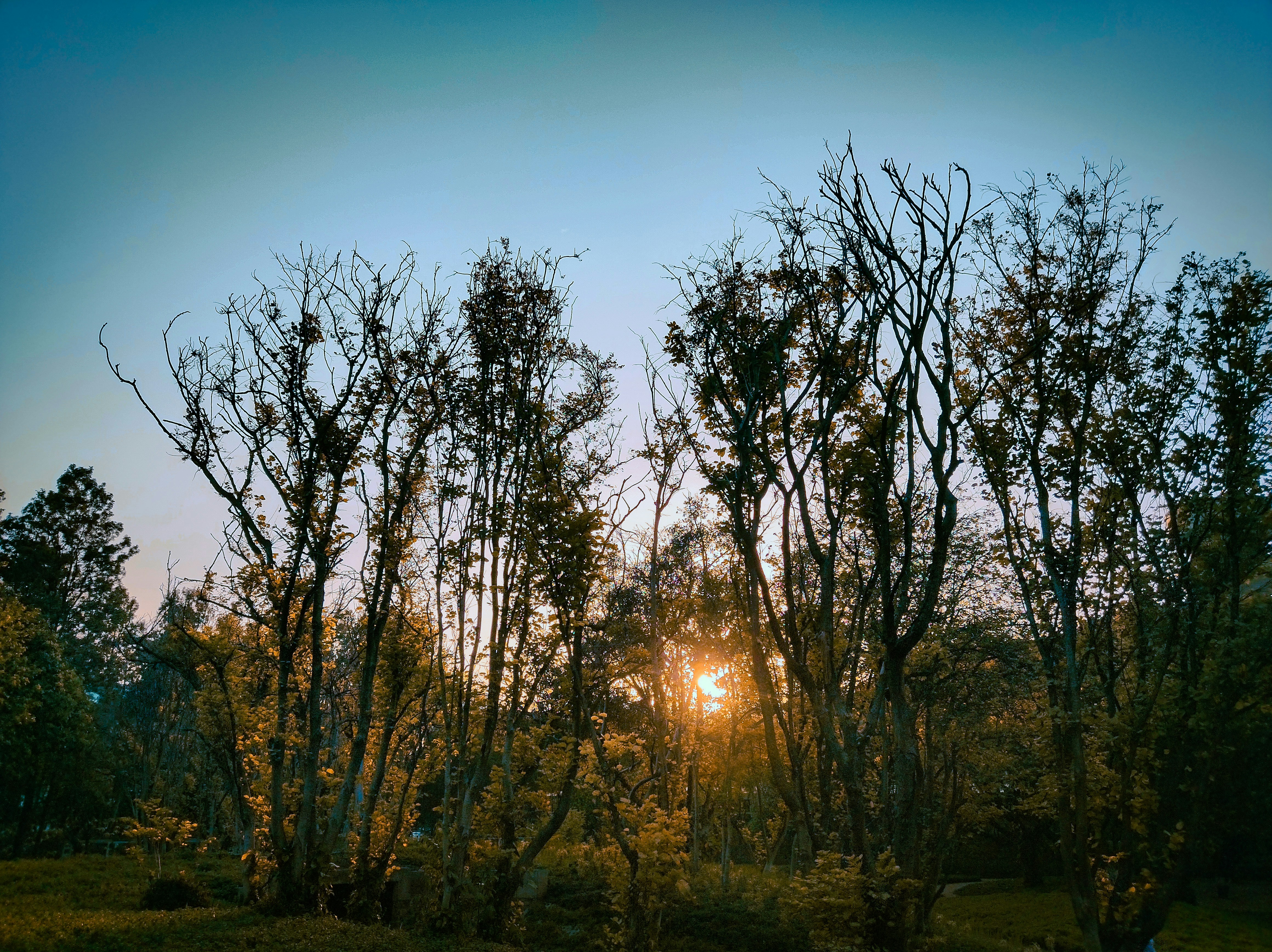 Photo by priyankagautam03