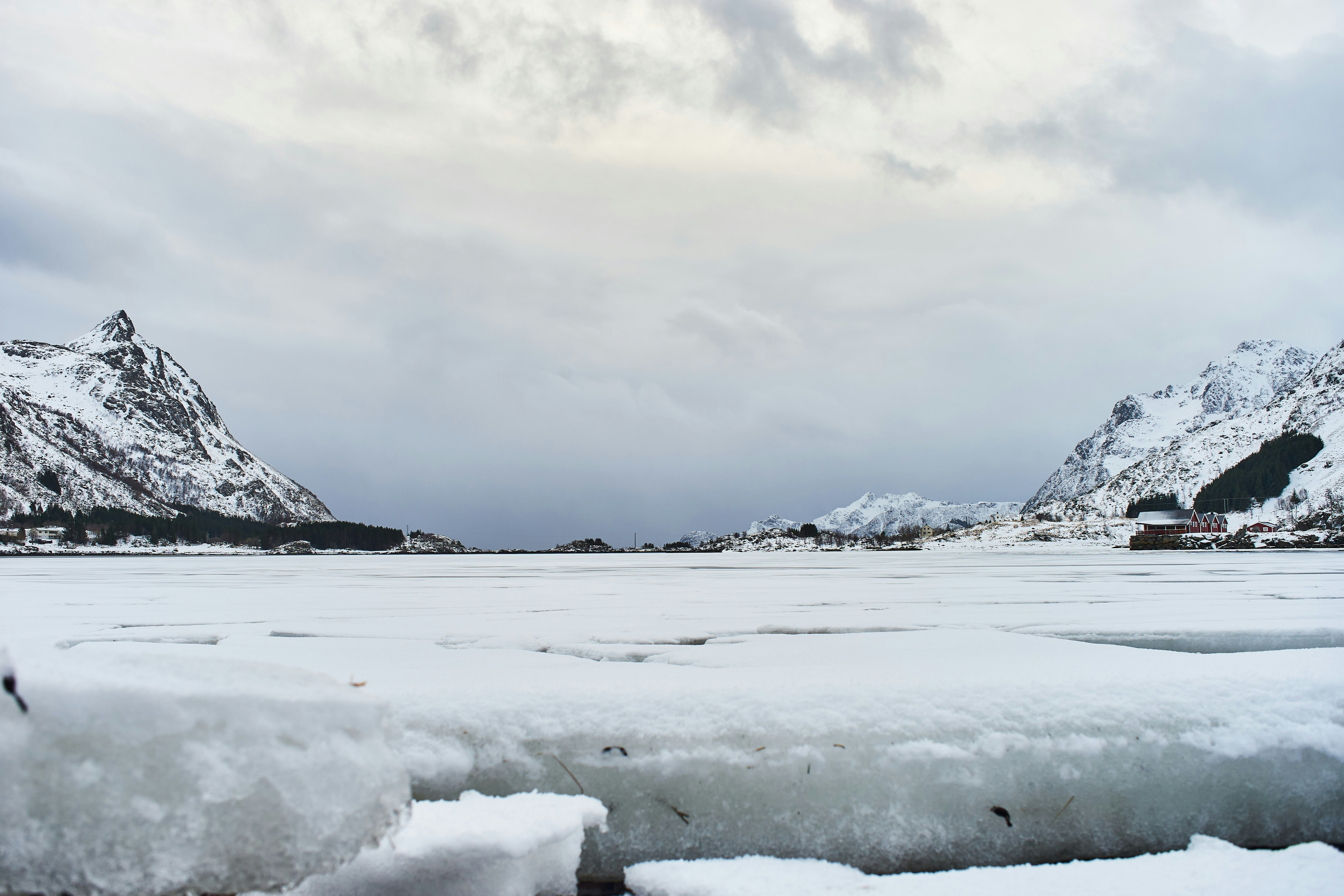 Photo by wolfgang_hasselmann