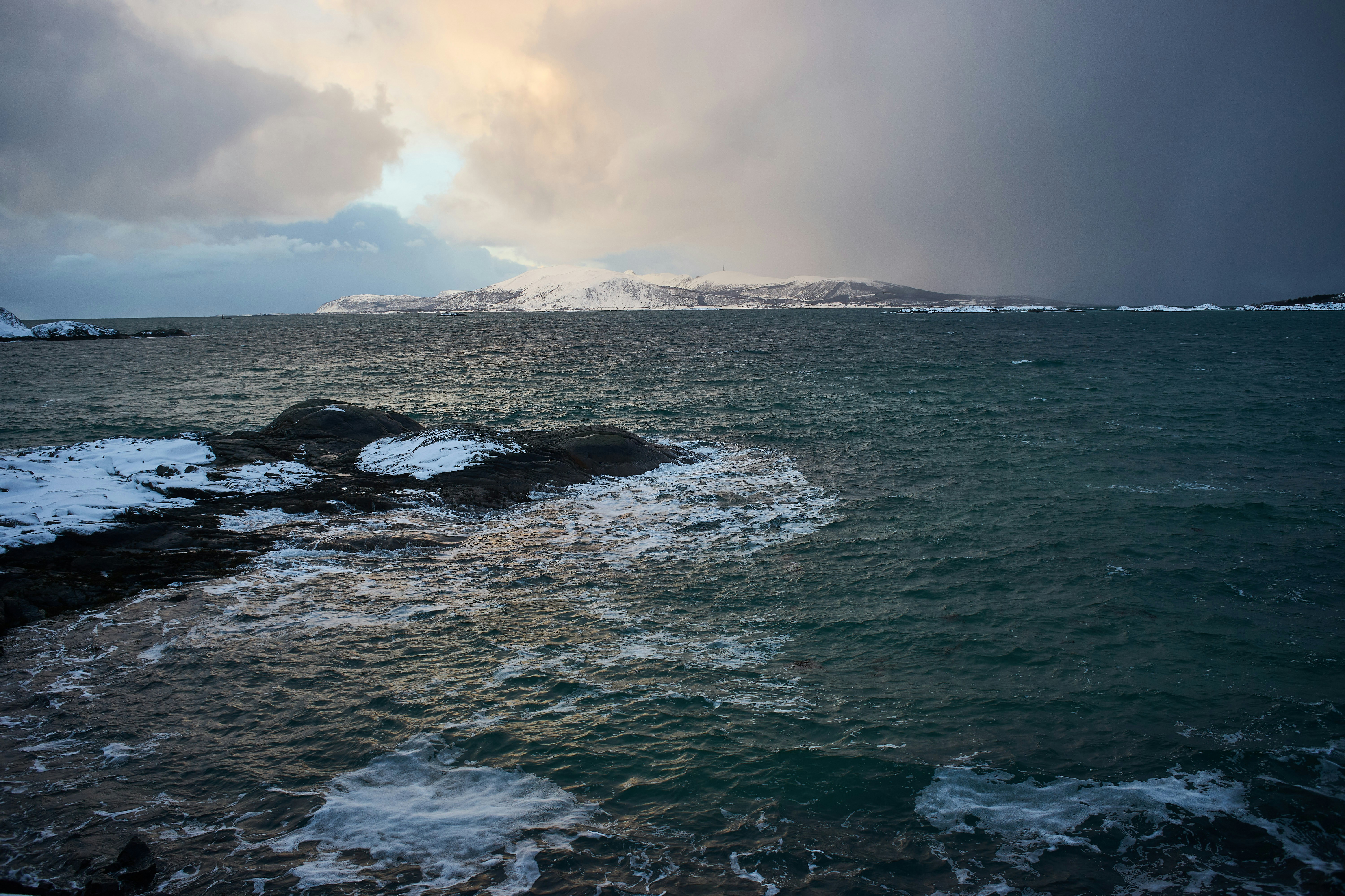 Photo by wolfgang_hasselmann