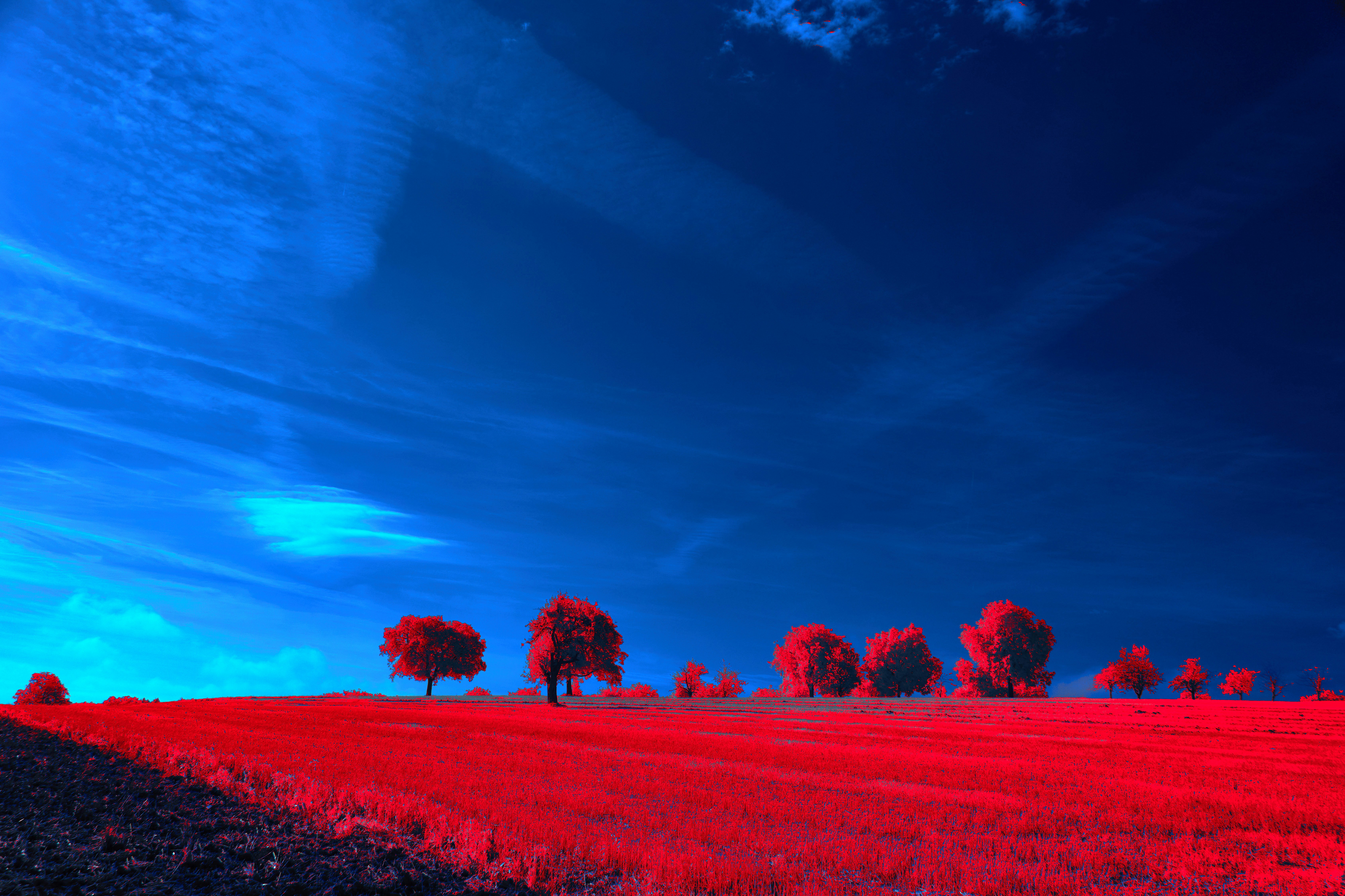 Photo by wolfgang_hasselmann