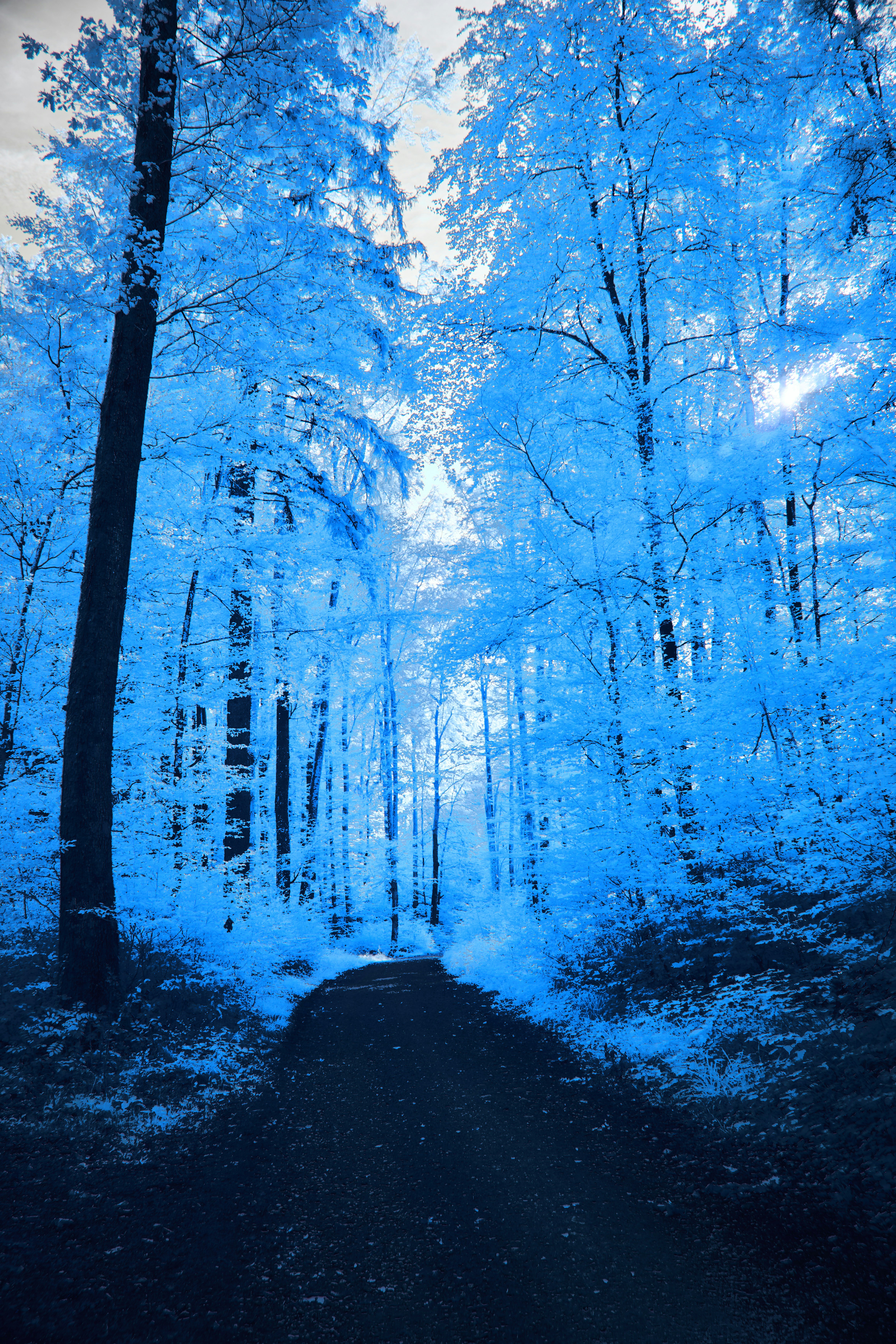 Photo by wolfgang_hasselmann