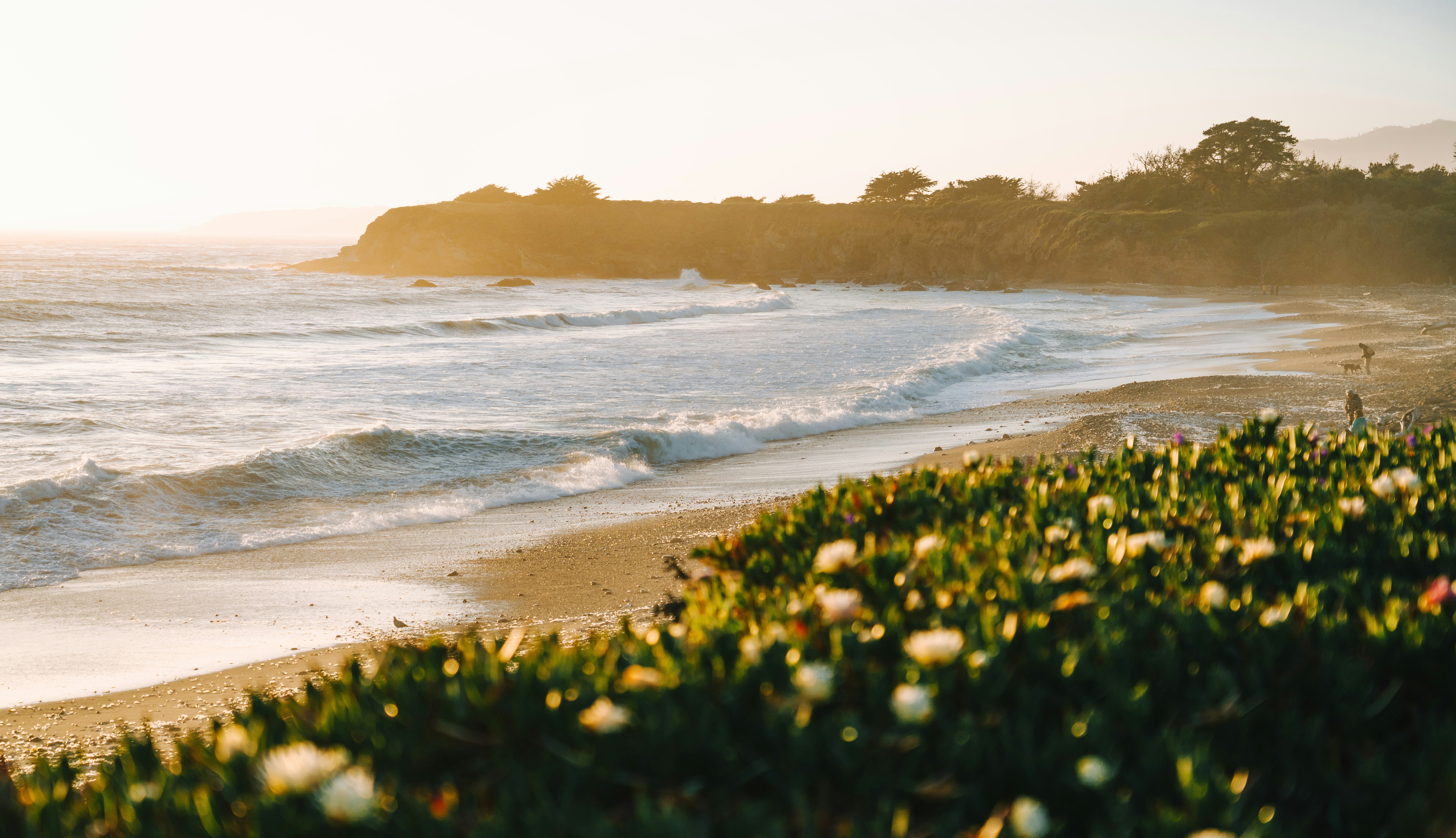 Photo by juniperphoton