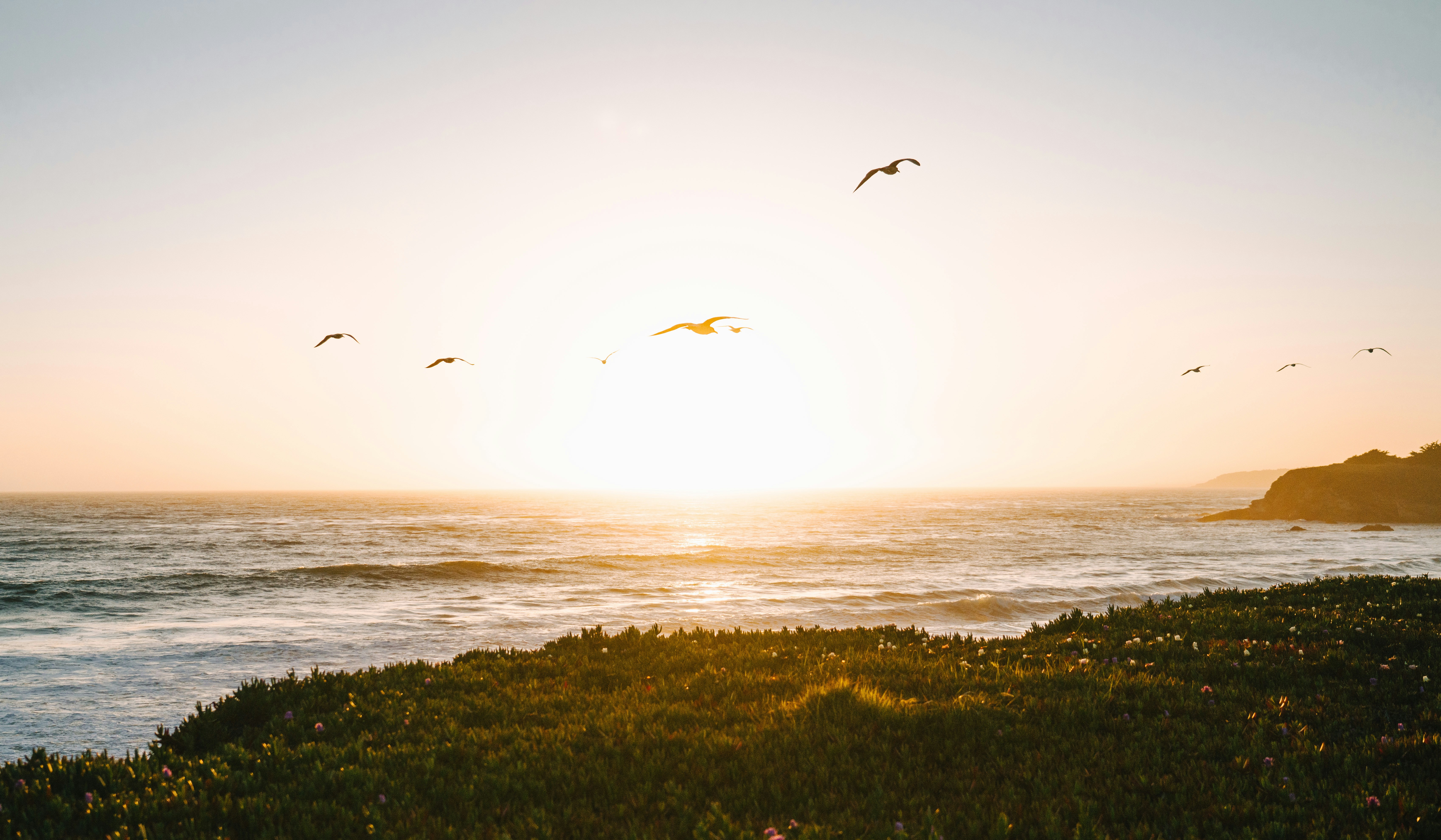 Photo by juniperphoton