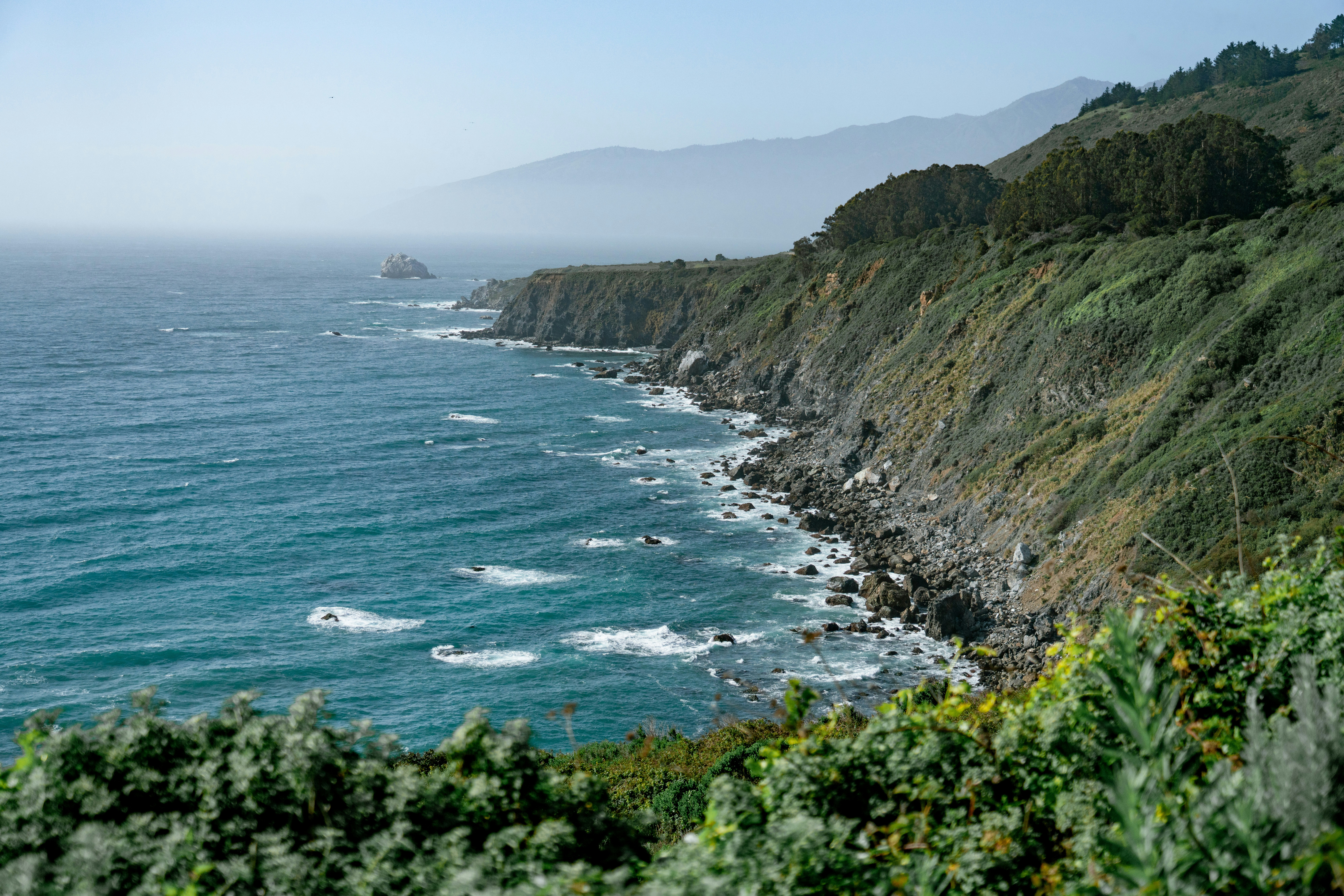 Photo by juniperphoton