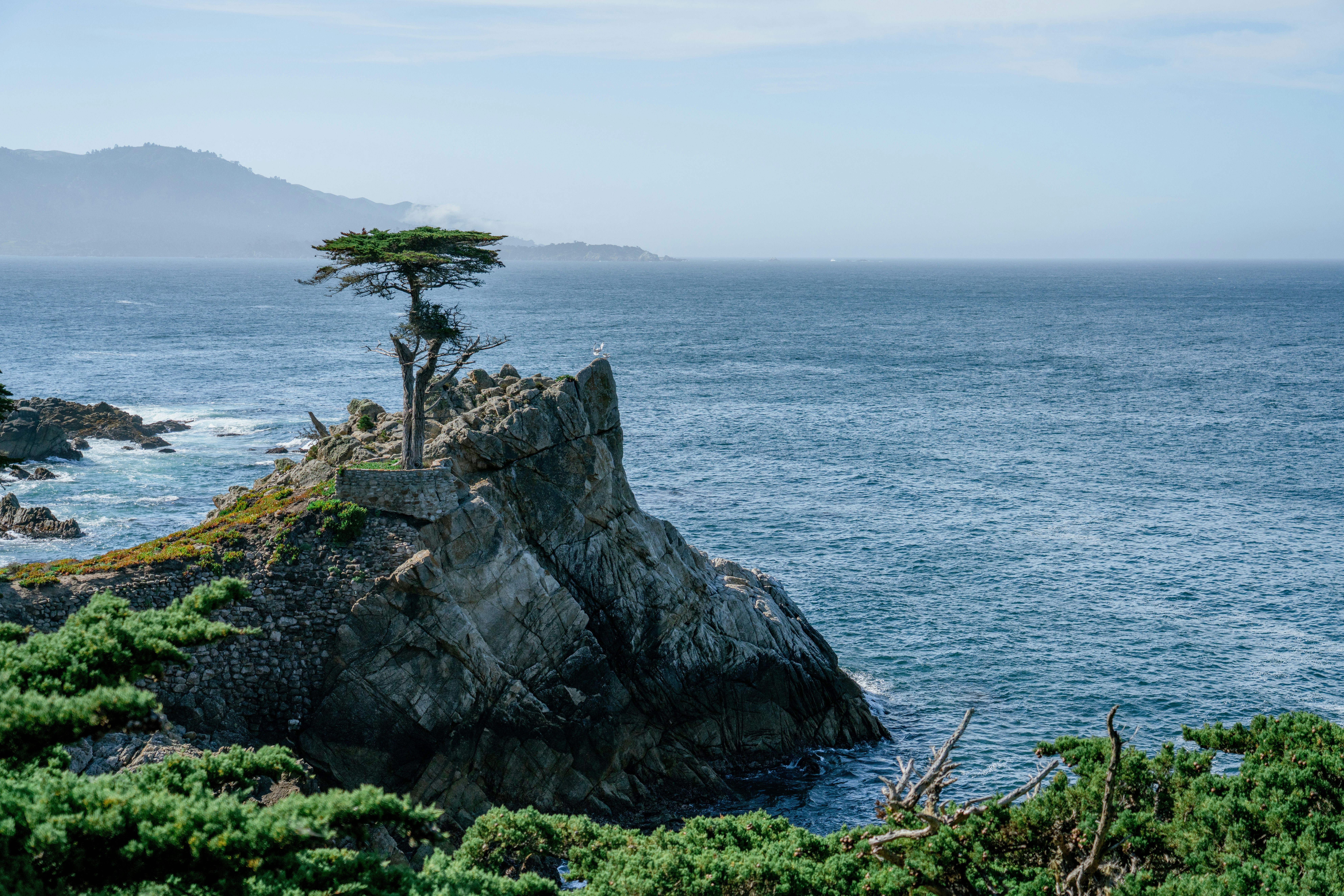 Photo by juniperphoton