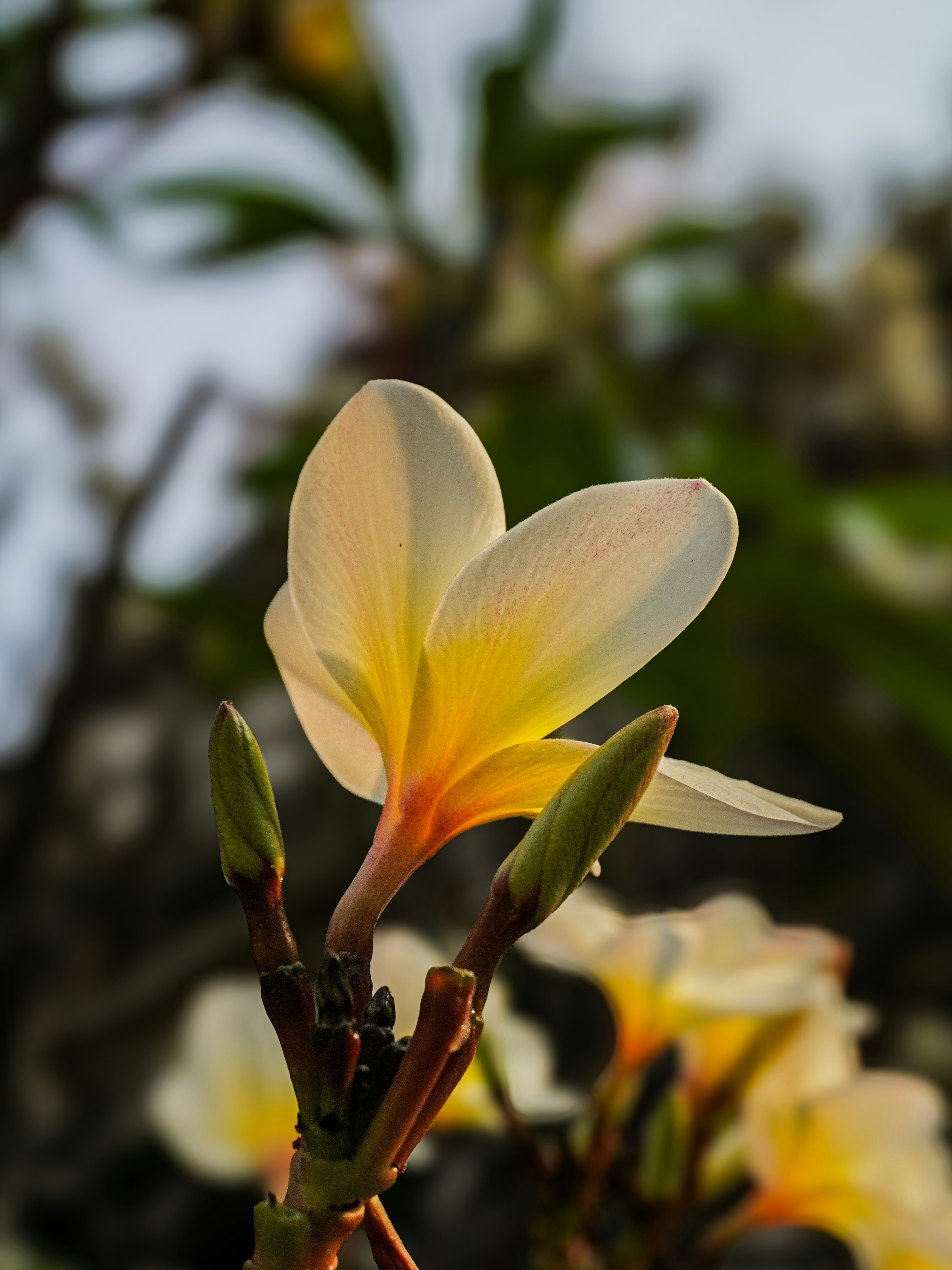 Photo by pparimita19