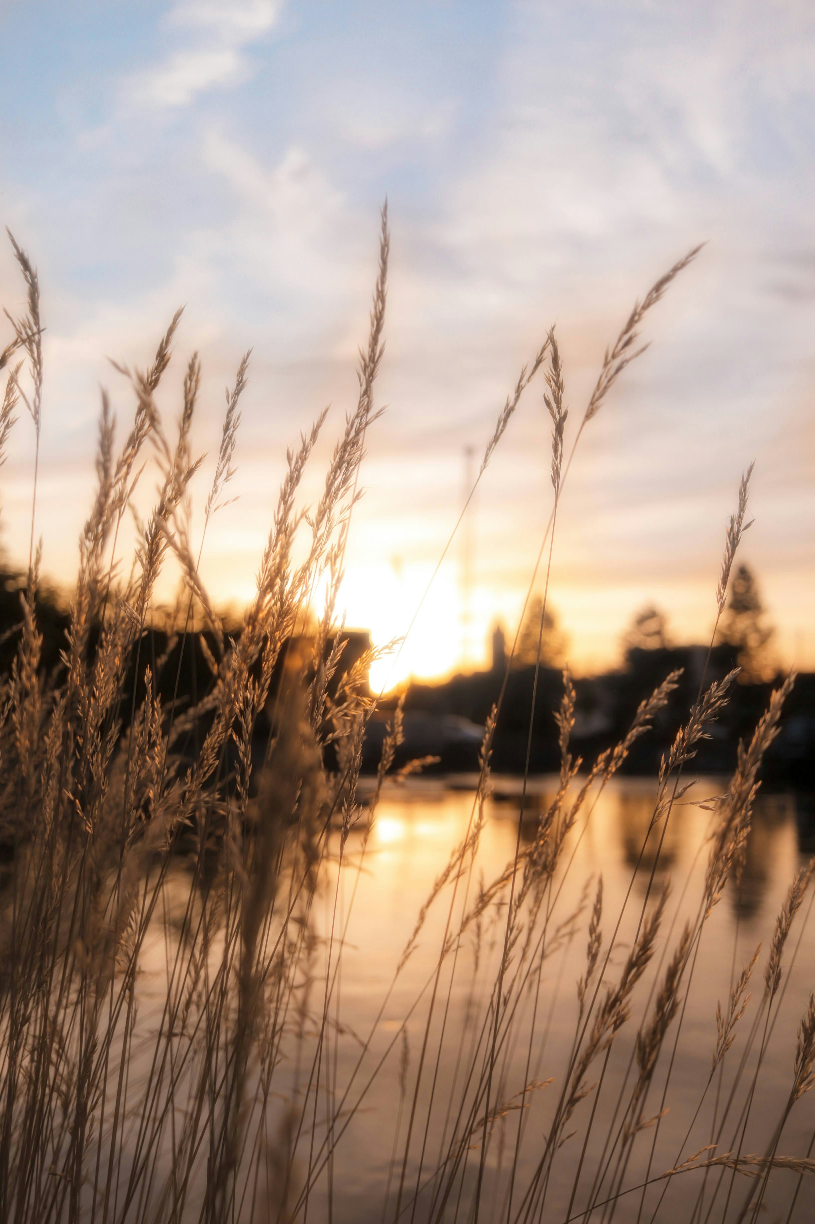 Photo by _chienvuong_