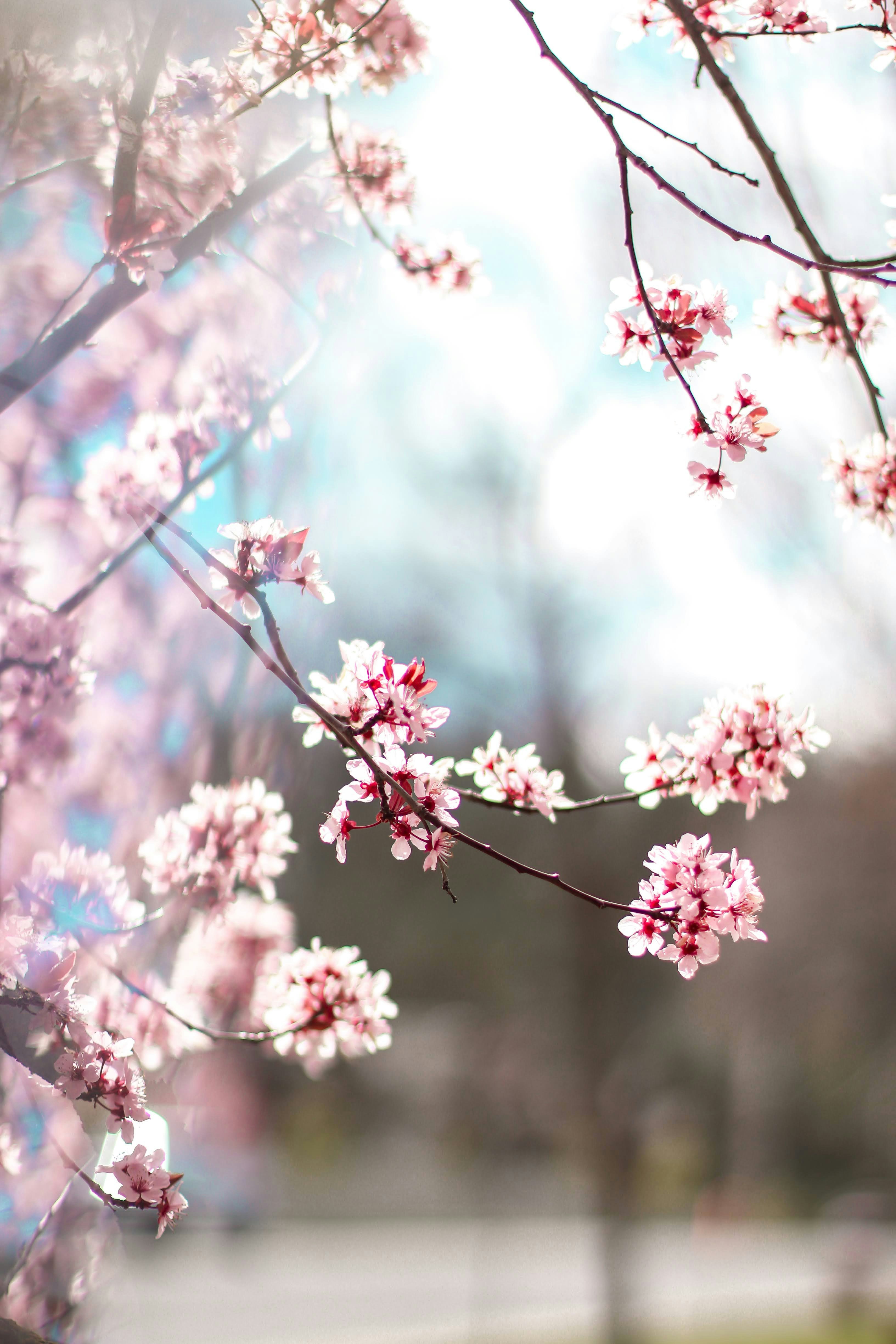 Photo by _chienvuong_