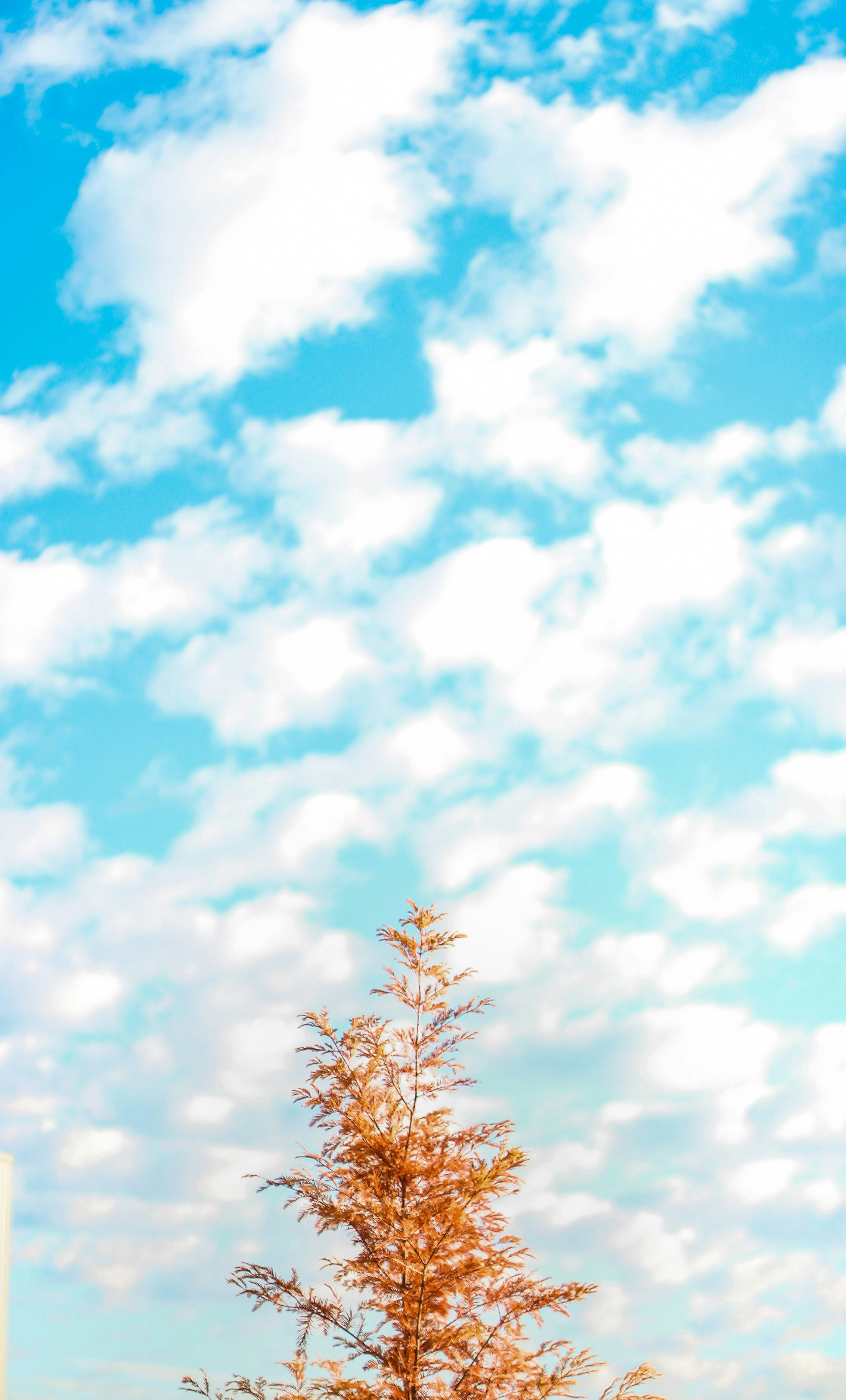 Photo by _chienvuong_