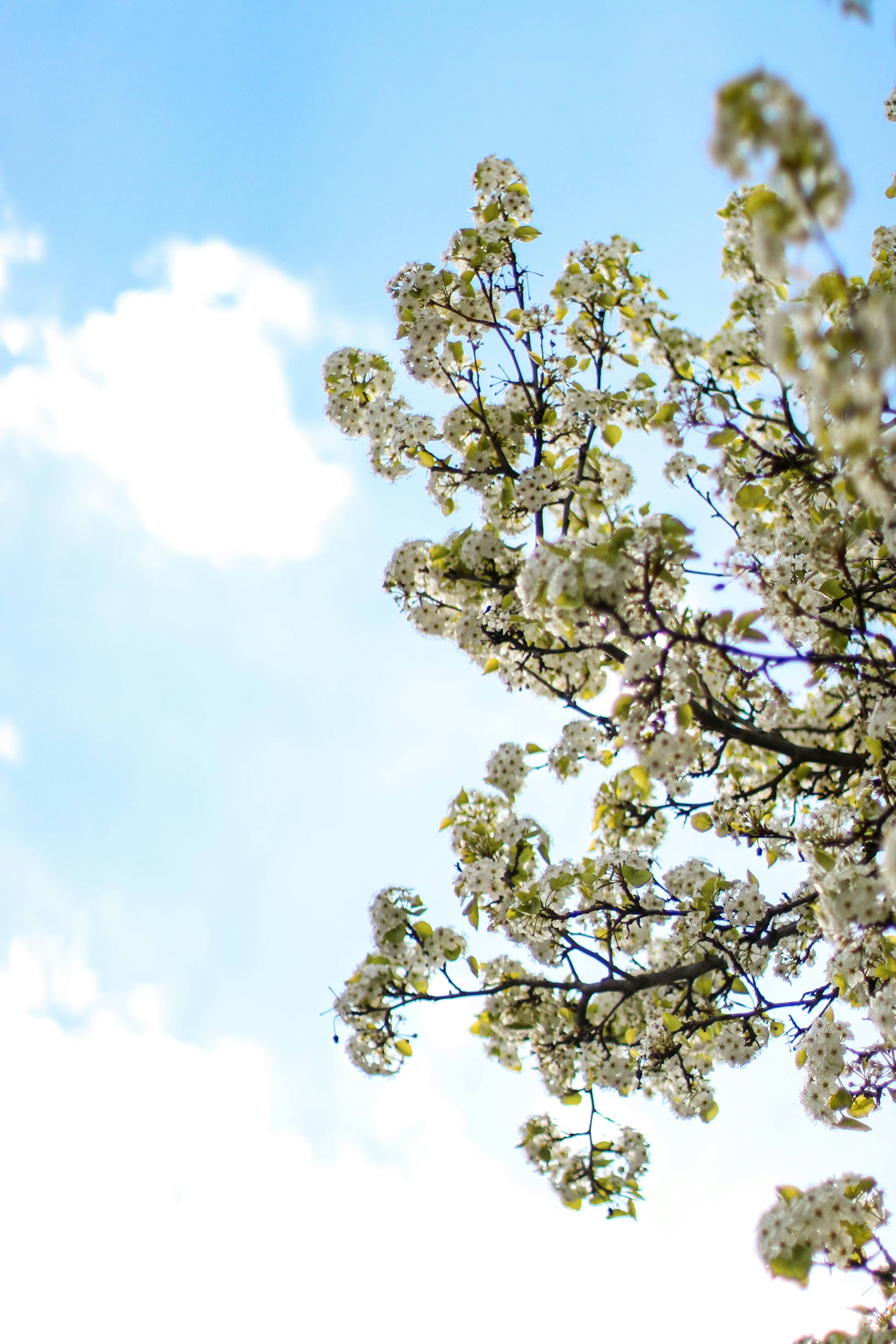 Photo by _chienvuong_